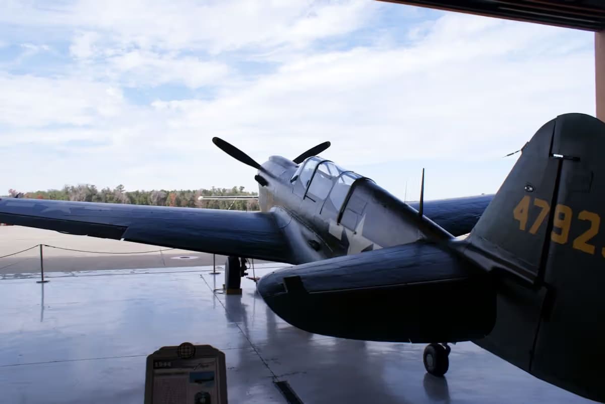 Unidentified — Warbird