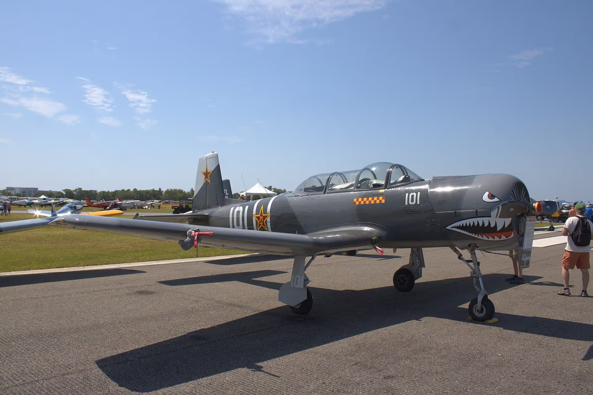 N101TT — Warbird