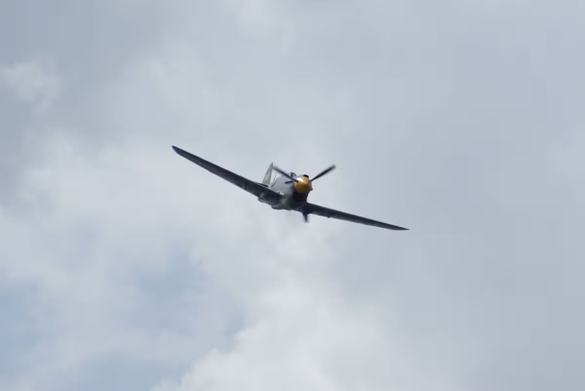 Unidentified — Warbird