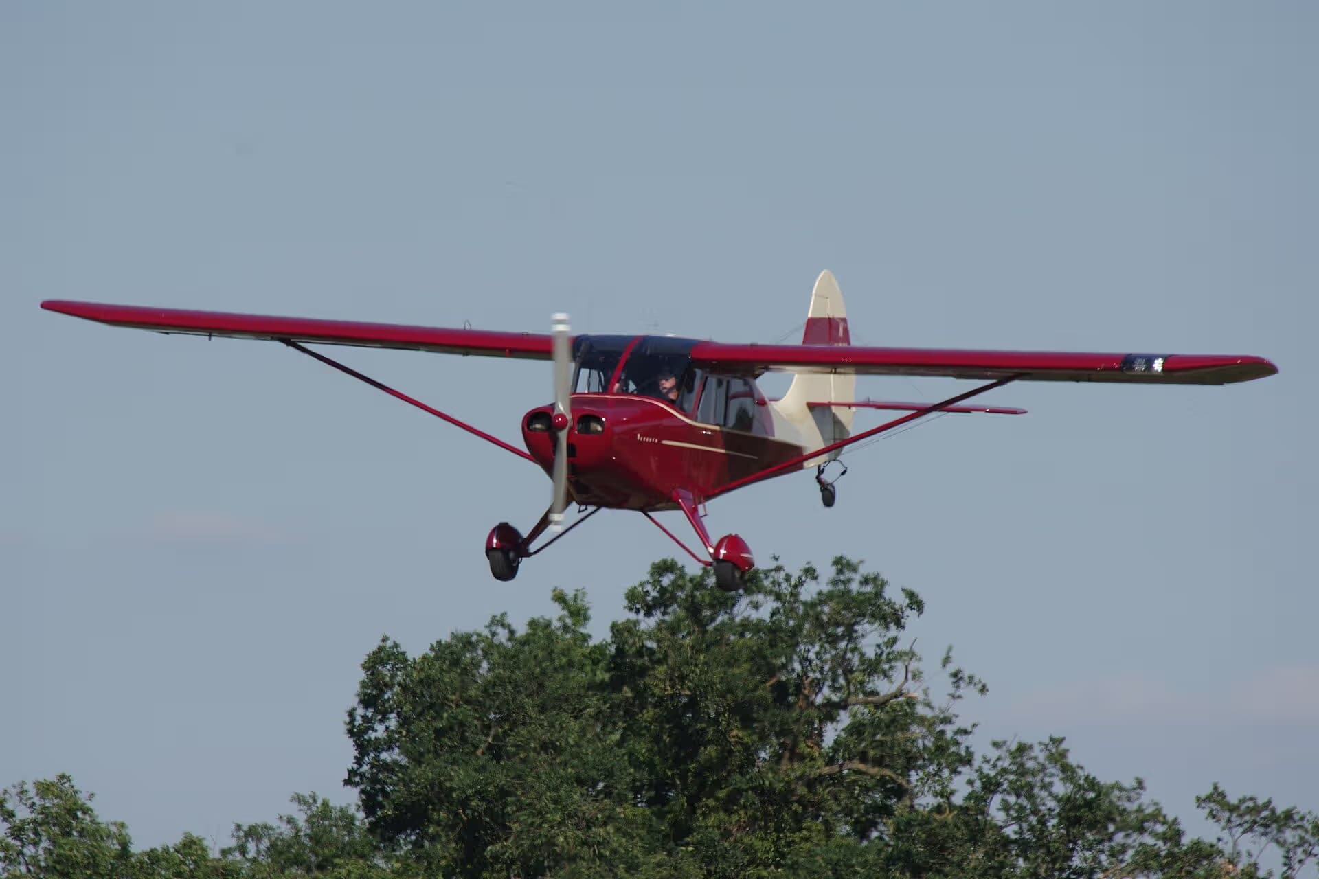 N1331H — Single-engine aircraft