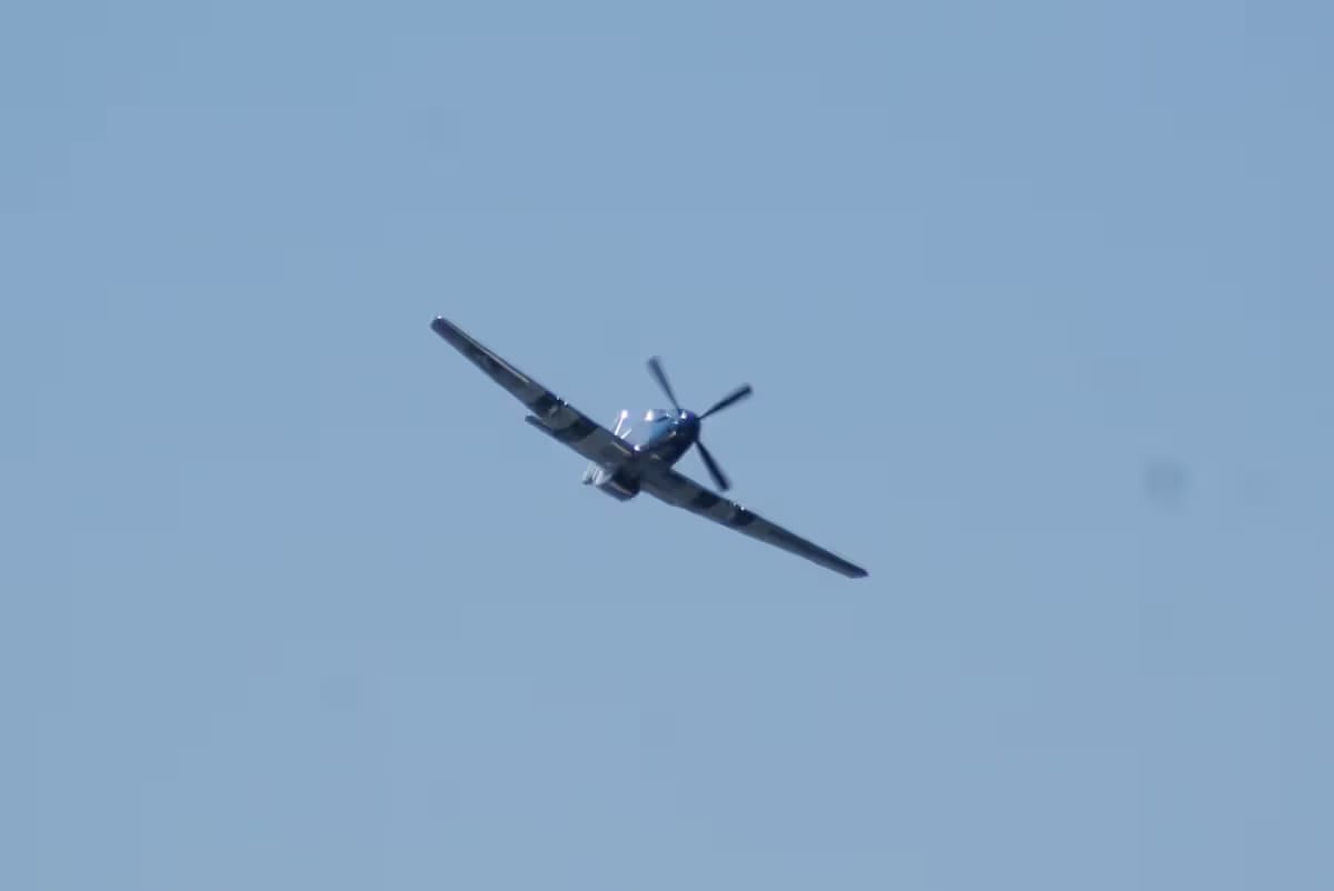 Unidentified — Warbird