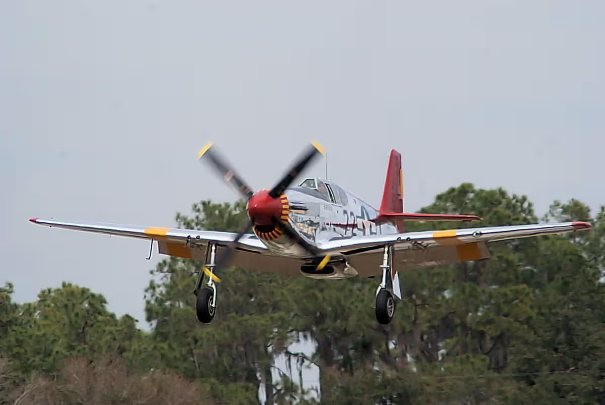 Unidentified — Warbird