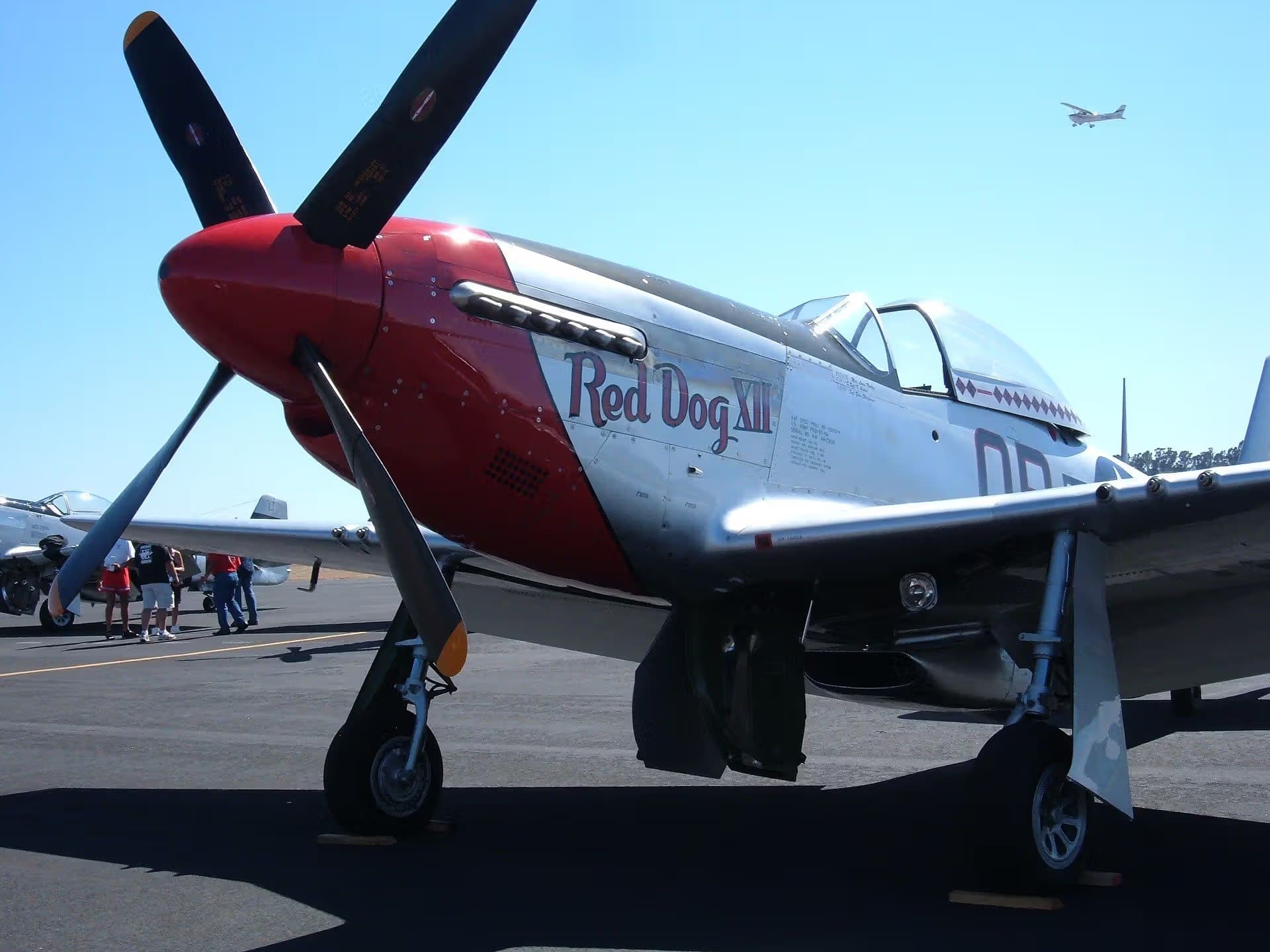 Unidentified — Warbird
