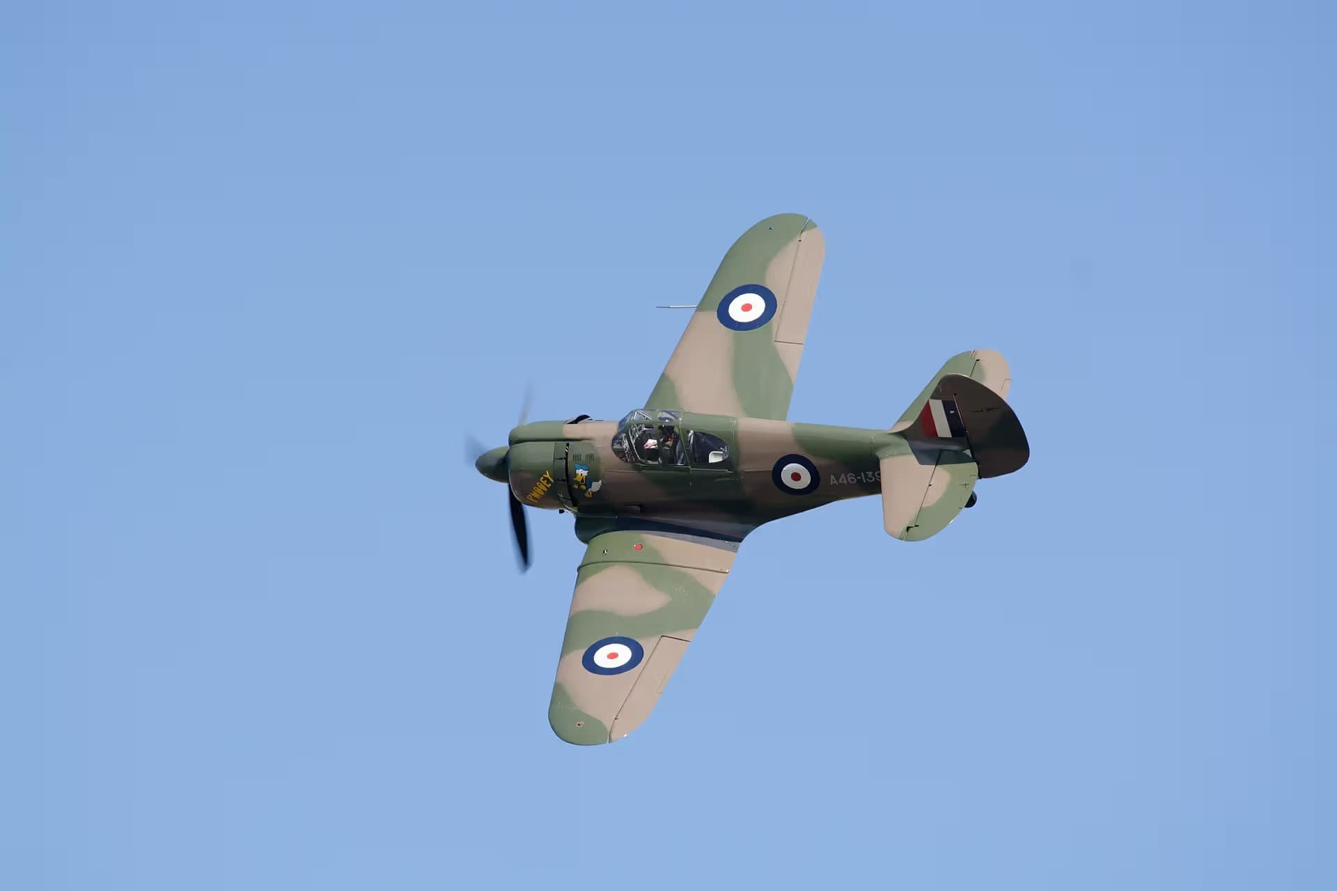 Unidentified — Warbird