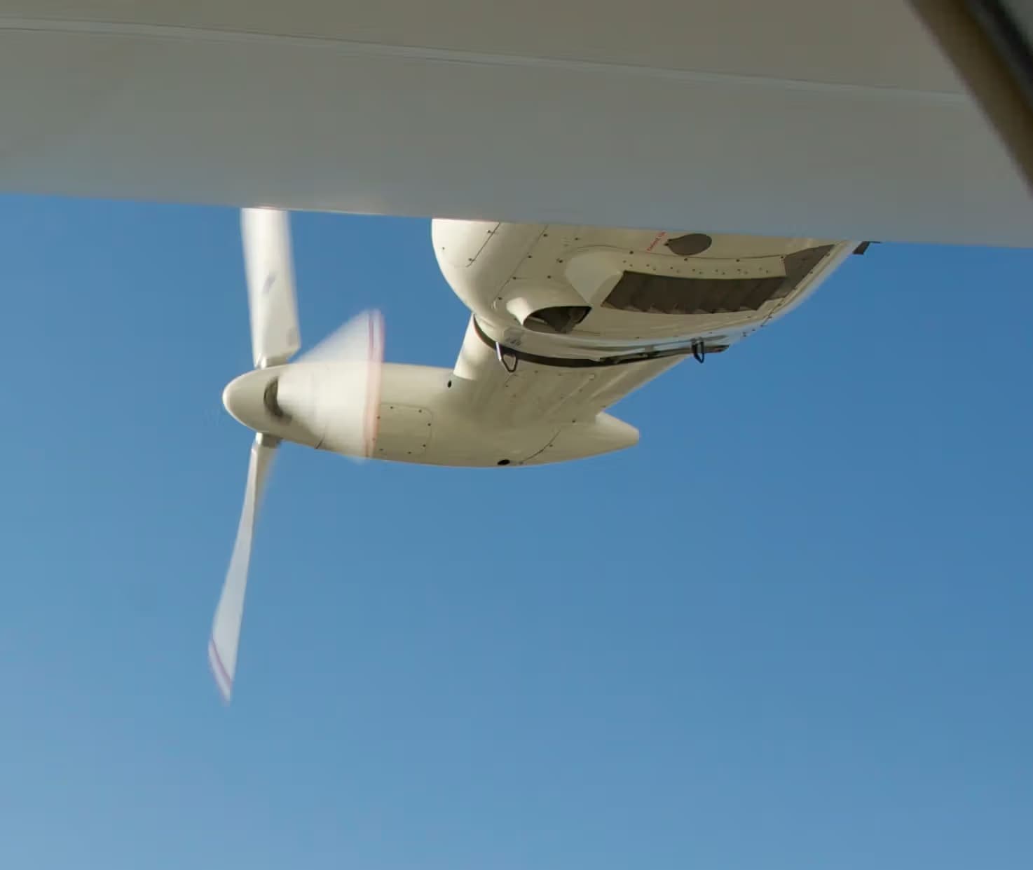 N704LZ — Single-engine aircraft