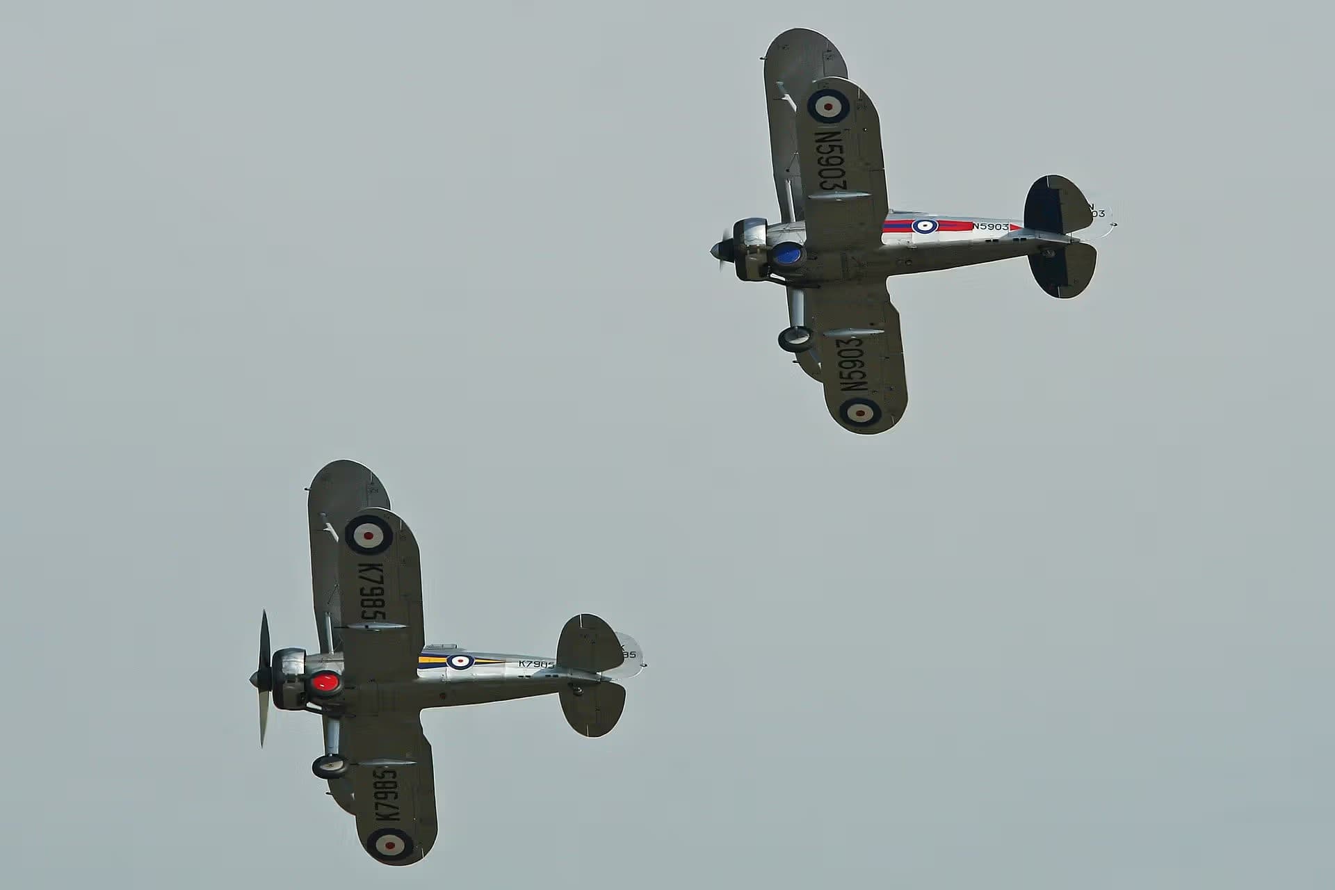 N5903 — Warbird