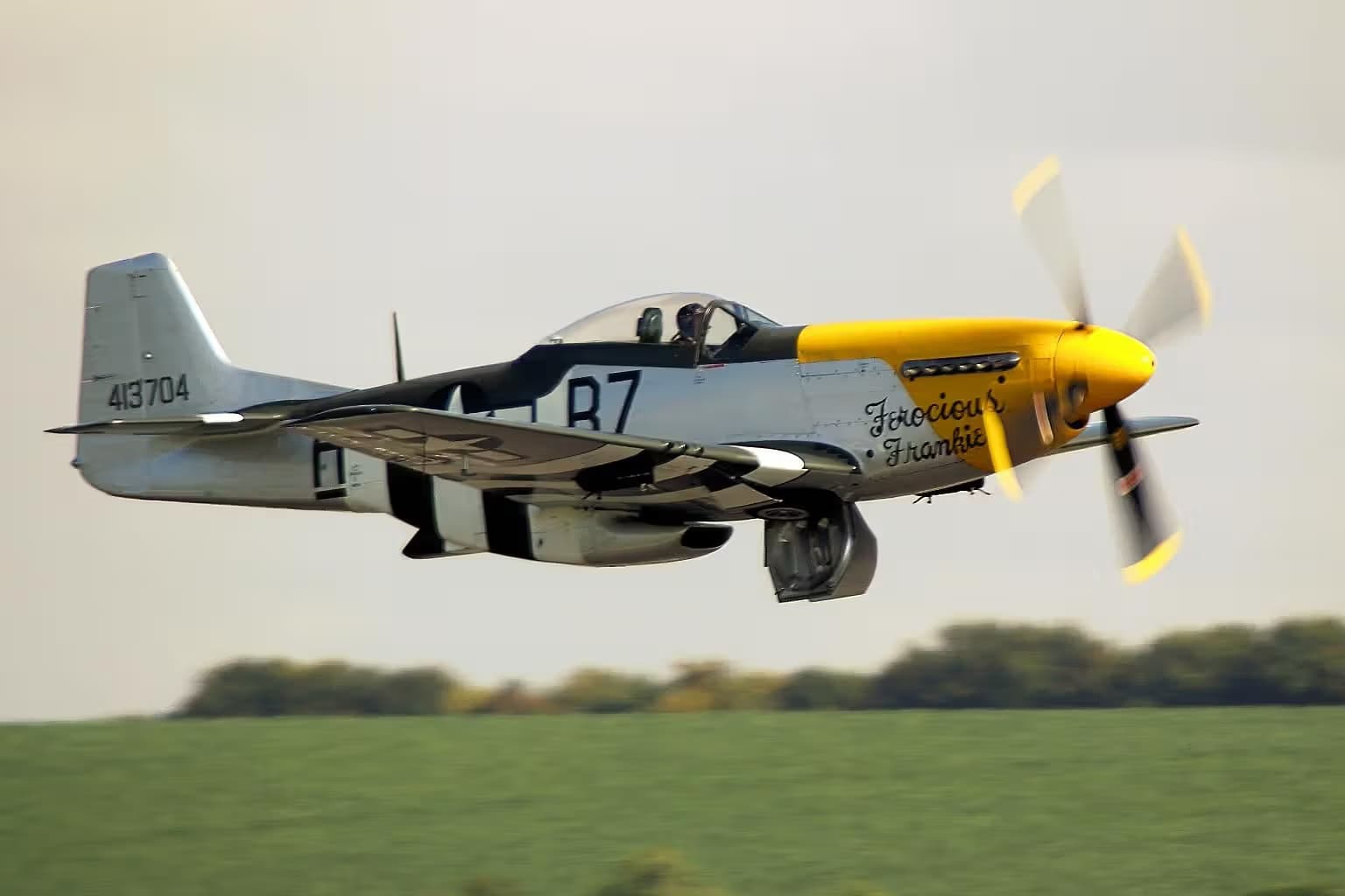 Unidentified — Warbird