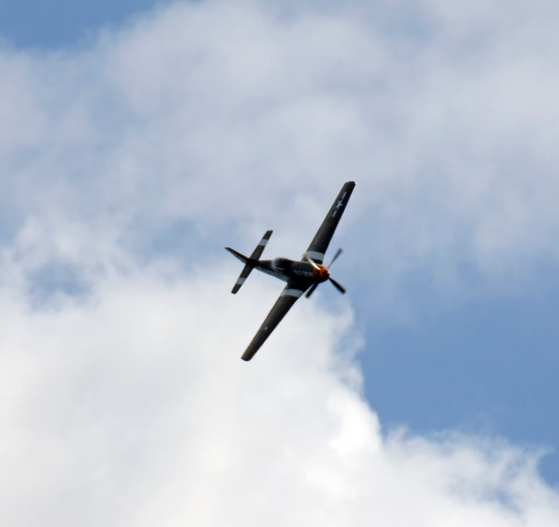 Unidentified — Warbird