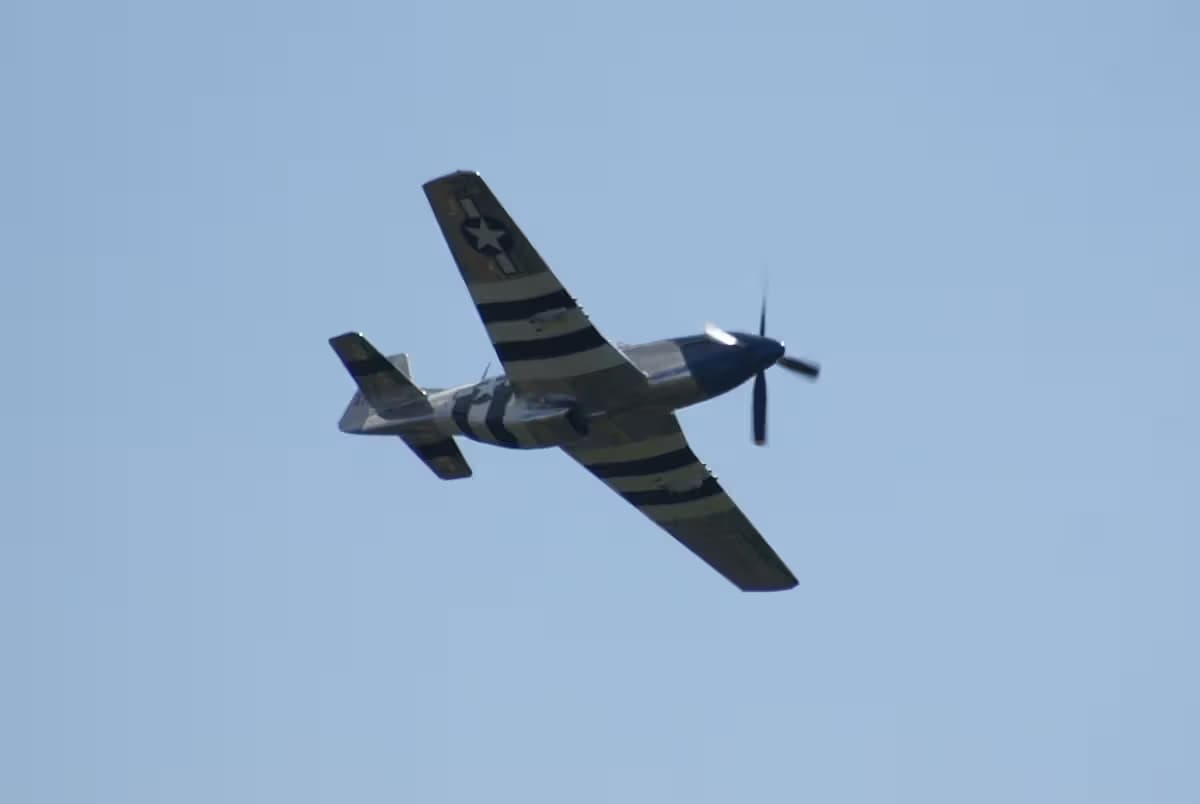 Unidentified — Warbird