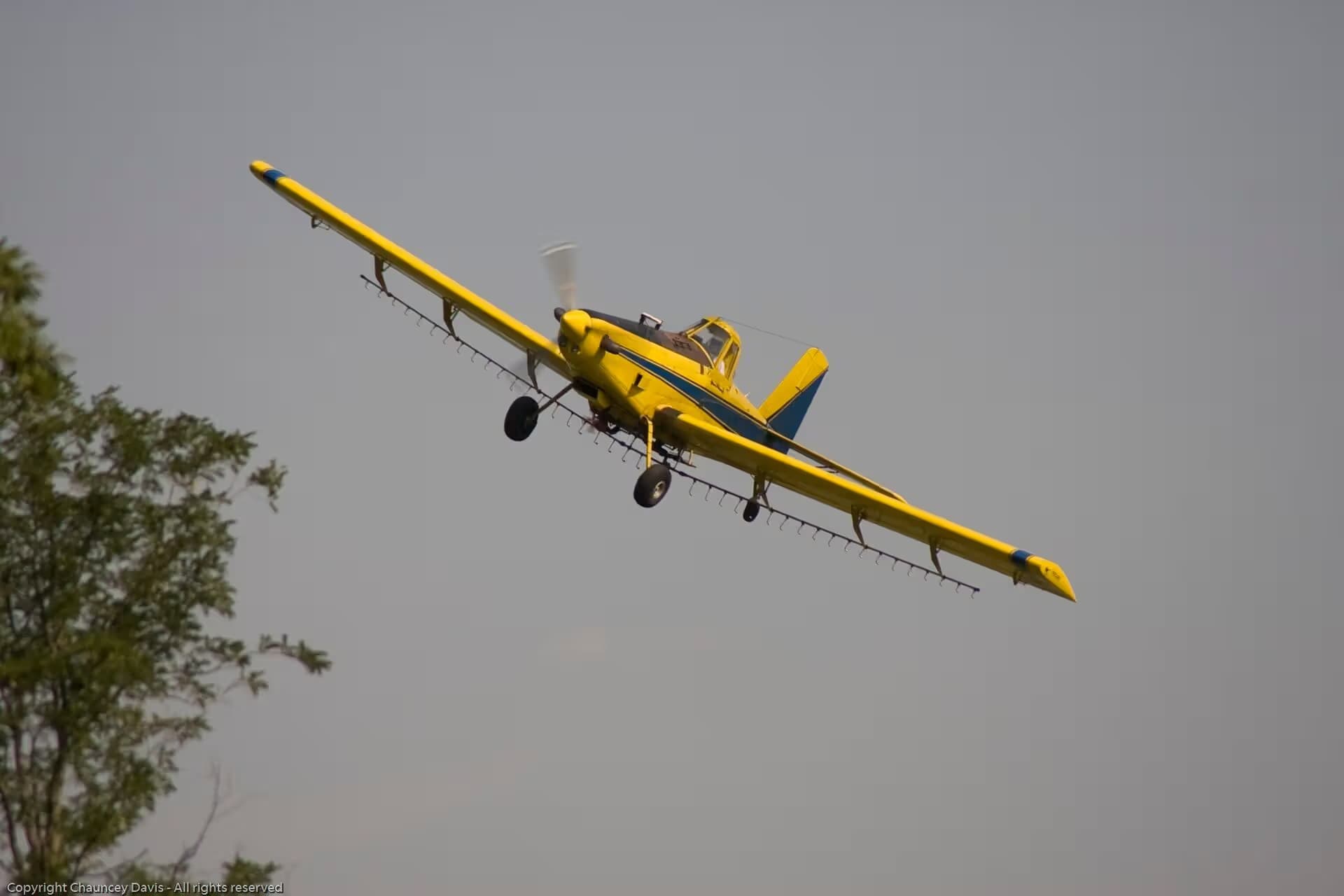 N1531G — Single-engine aircraft
