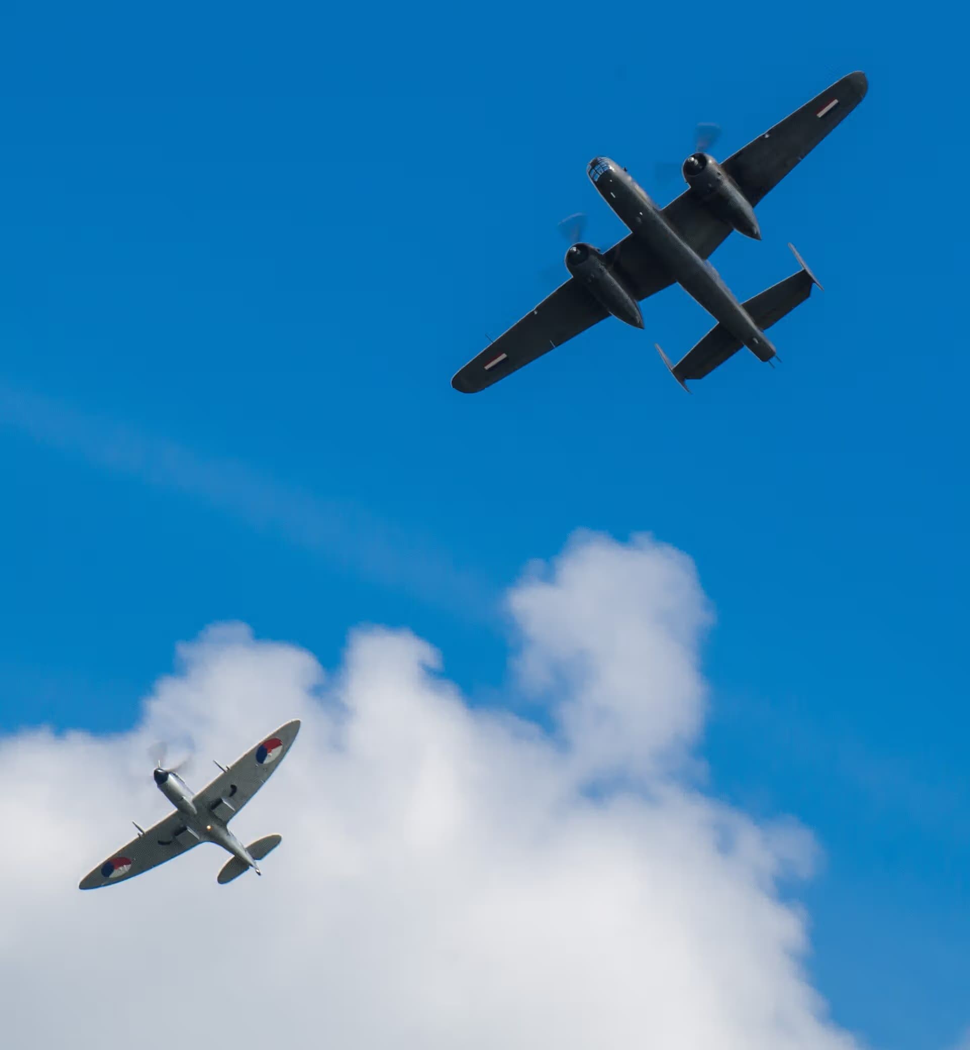 Unidentified — Warbird
