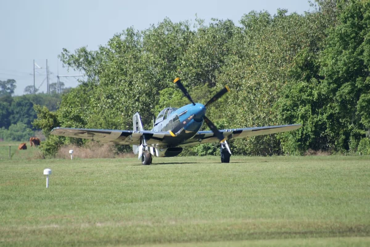 Unidentified — Warbird