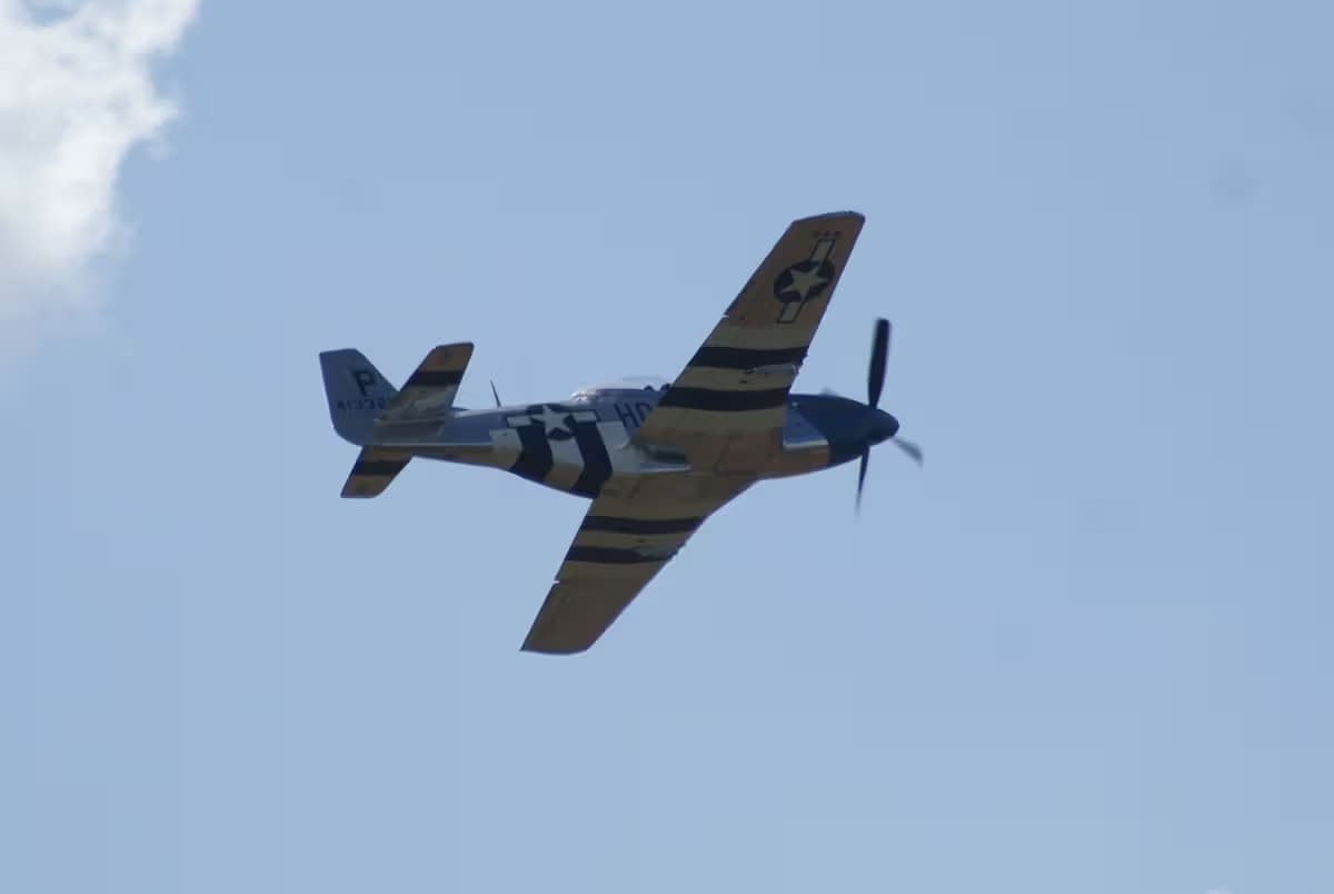 Unidentified — Warbird