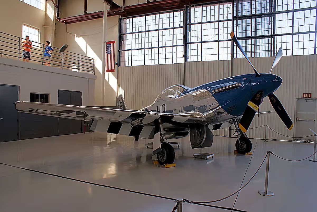 Unidentified — Warbird