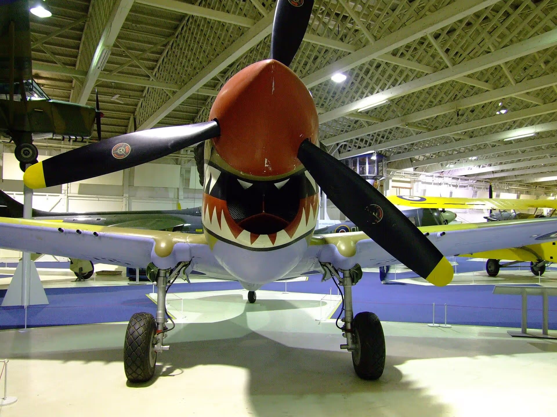 Unidentified — Warbird