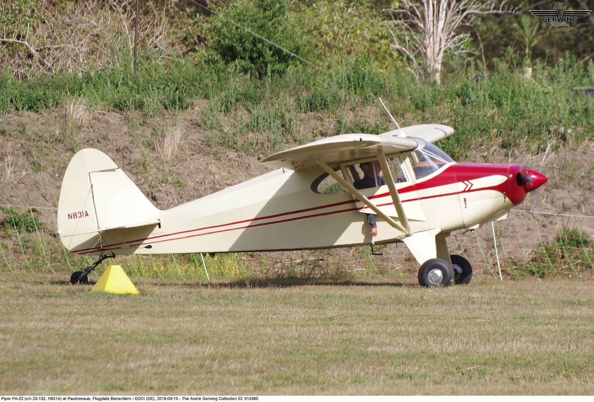 N831A — Piper