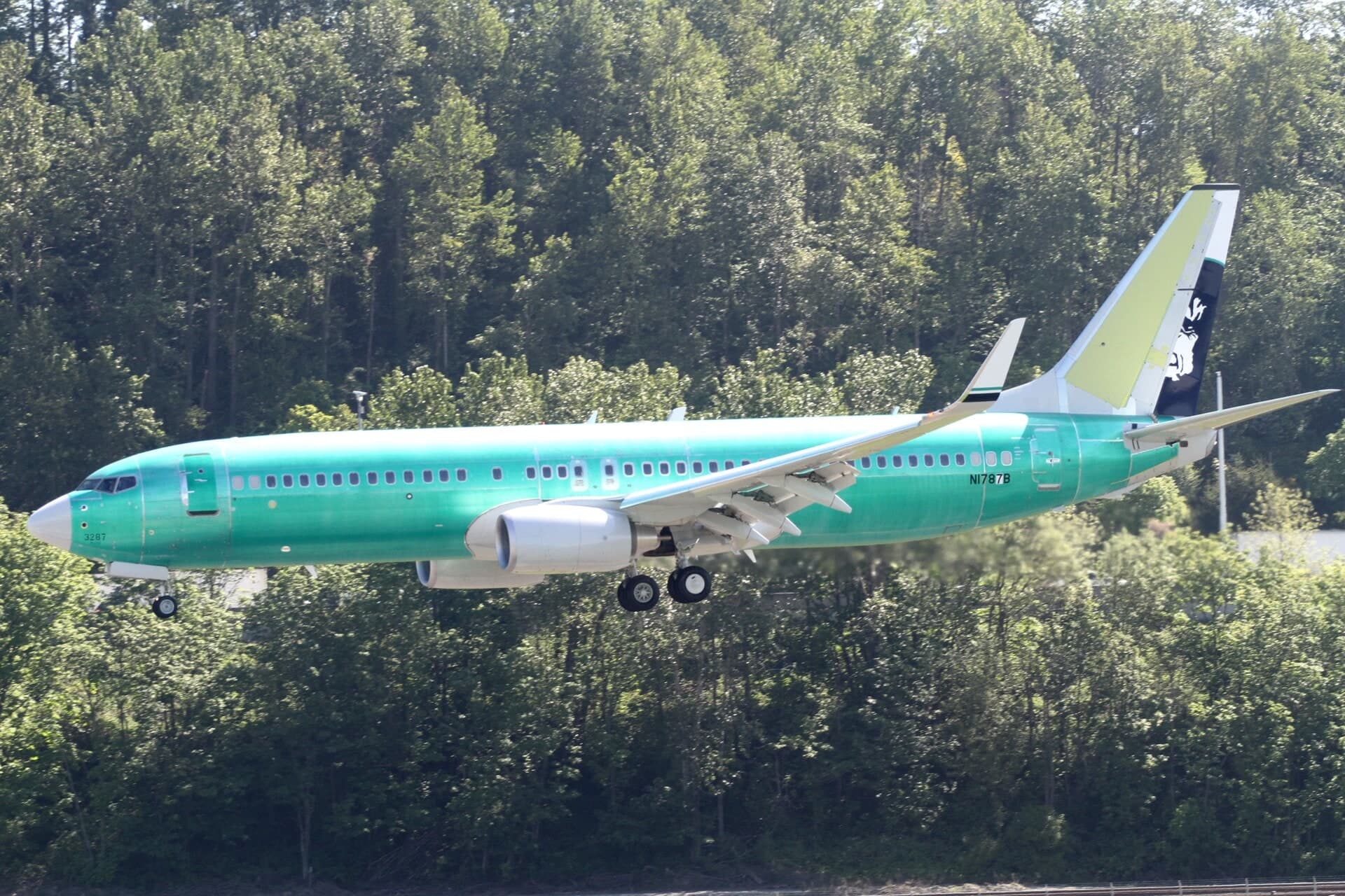 N1787B — Twin-engine aircraft