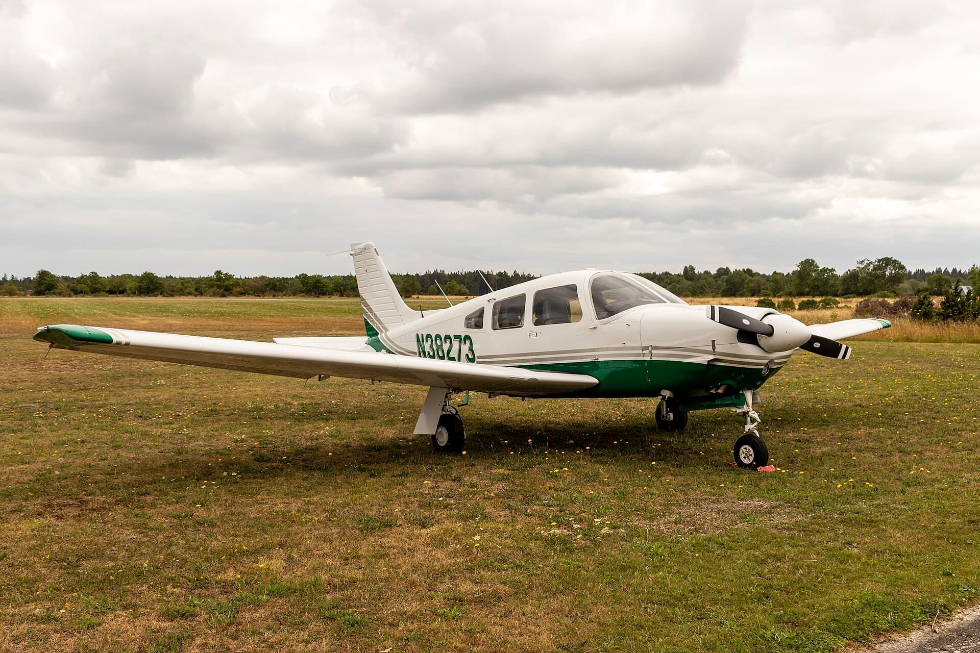 N38273 — Single-engine aircraft