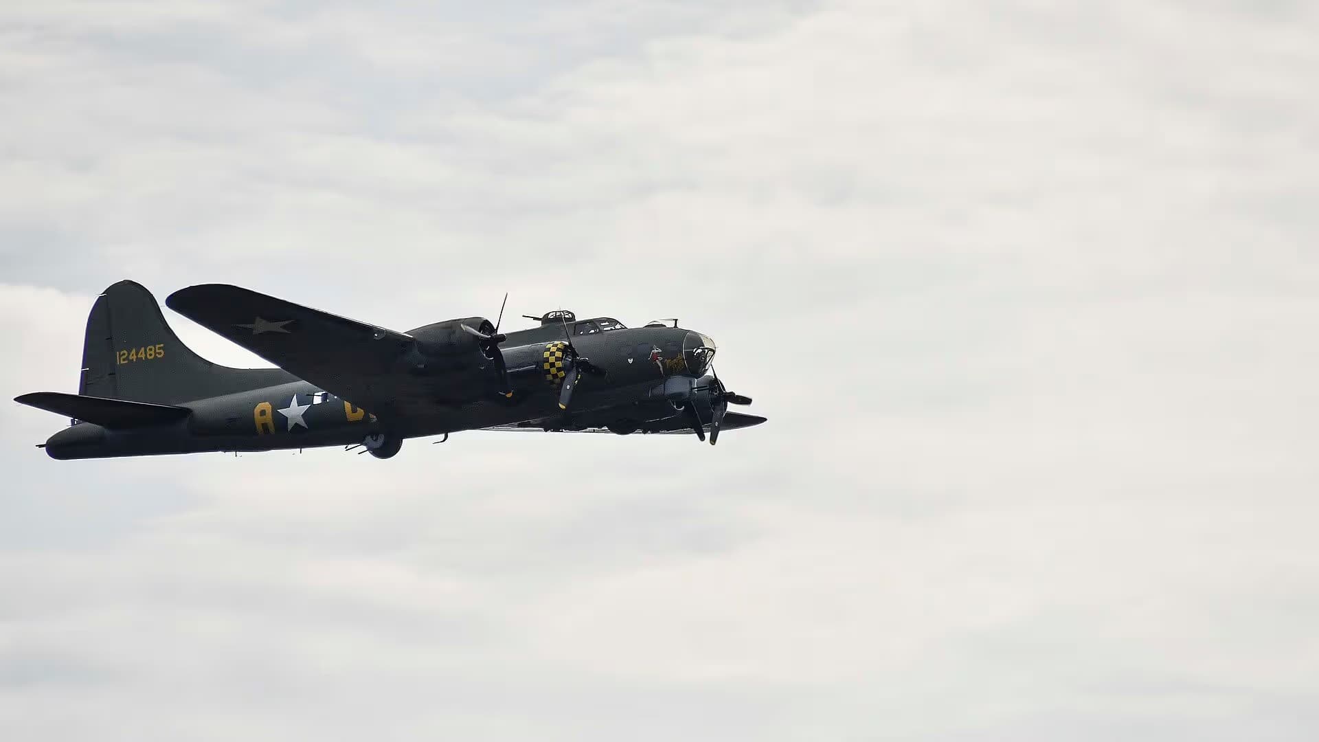 Unidentified — Warbird