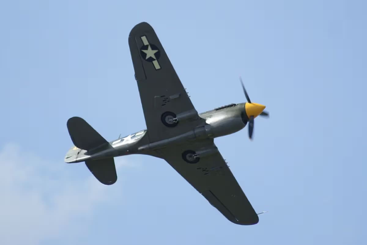 Unidentified — Warbird