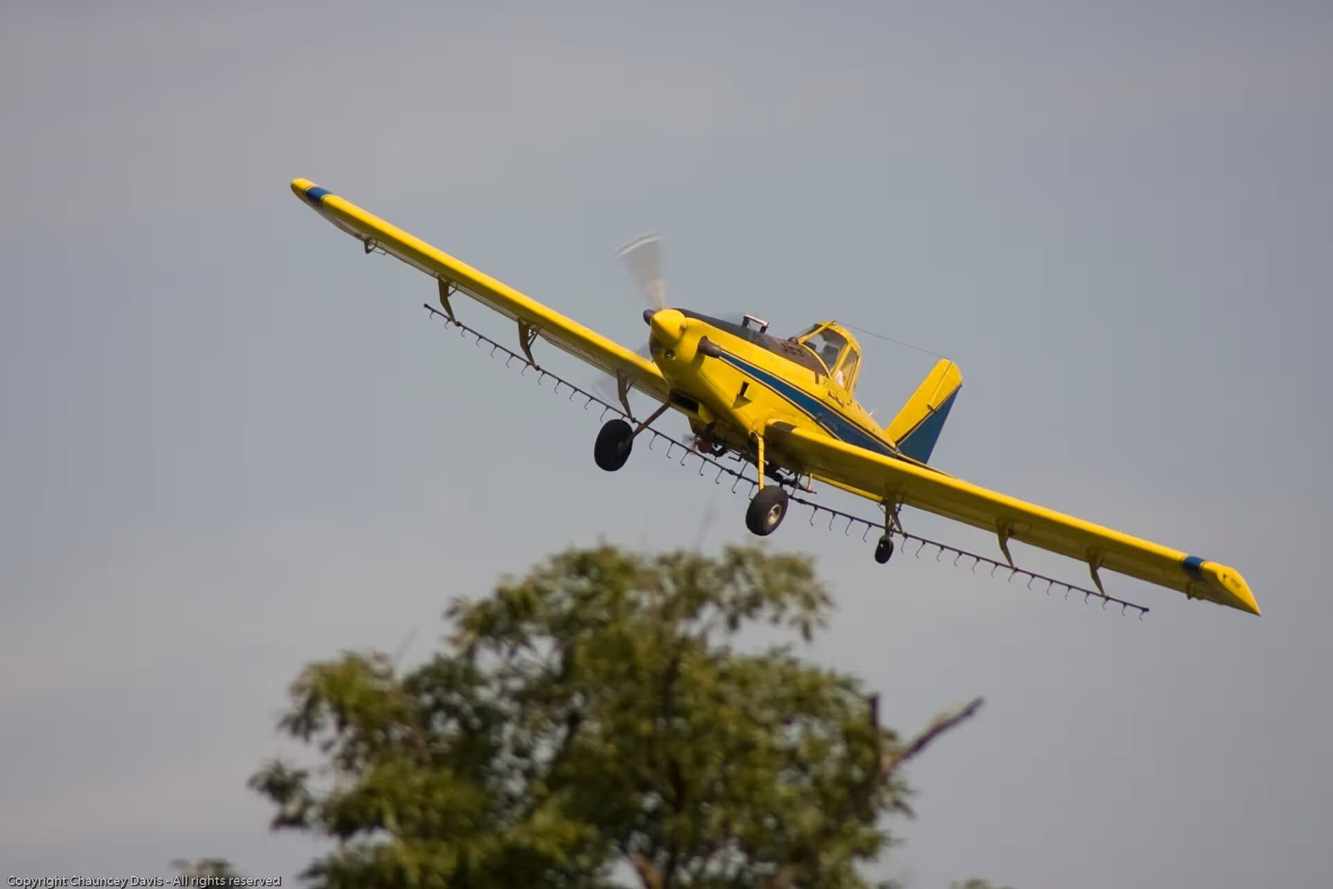 N1531G — Single-engine aircraft