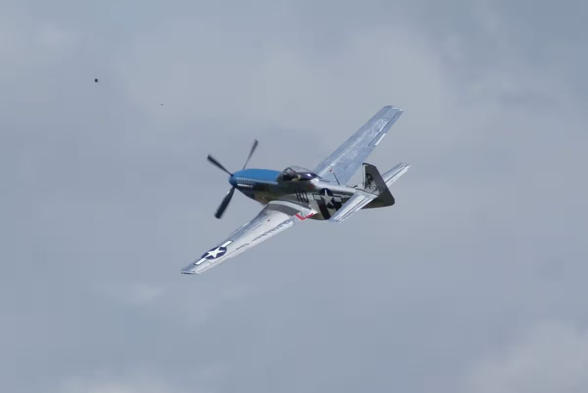 Unidentified — Warbird