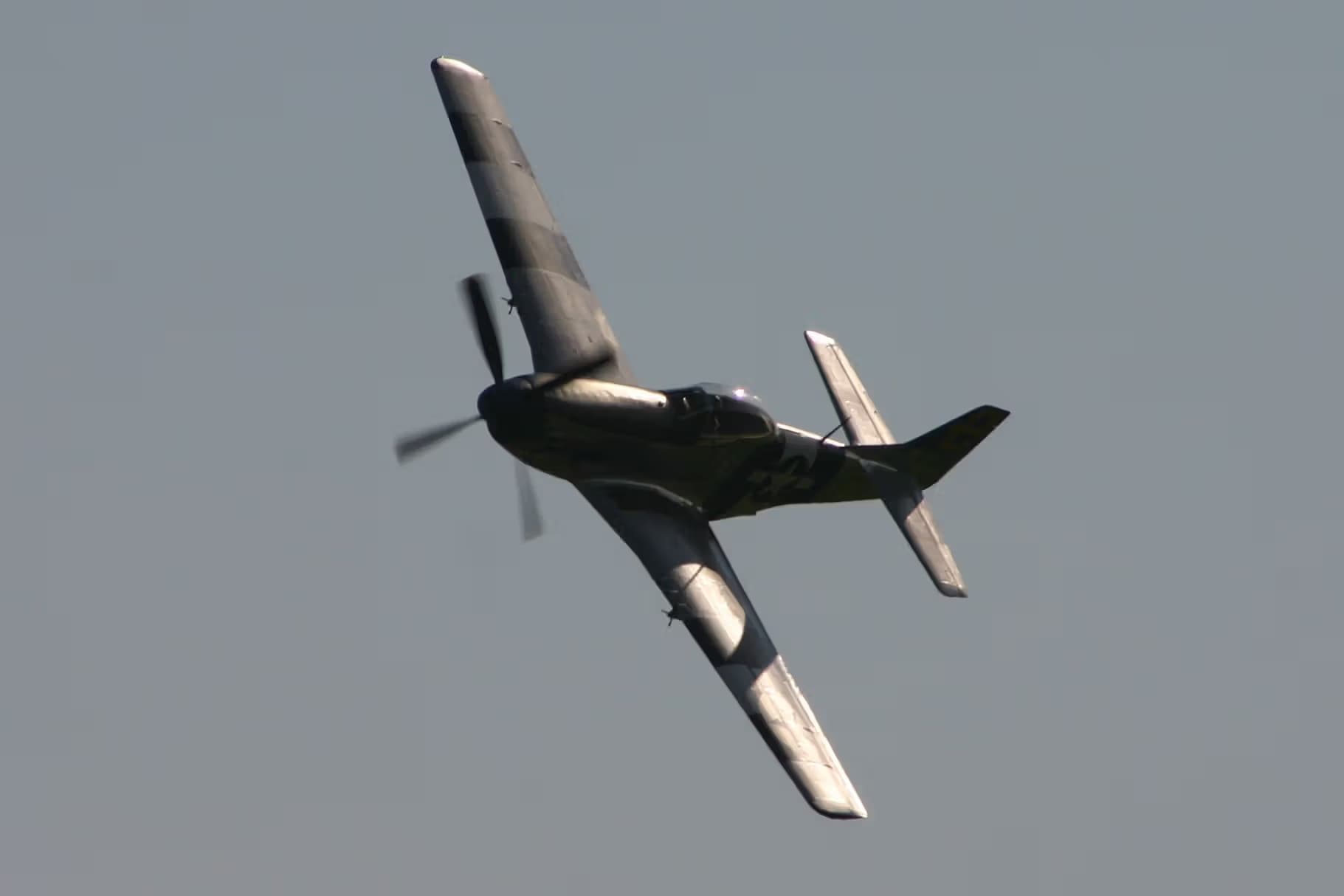 Unidentified — Warbird