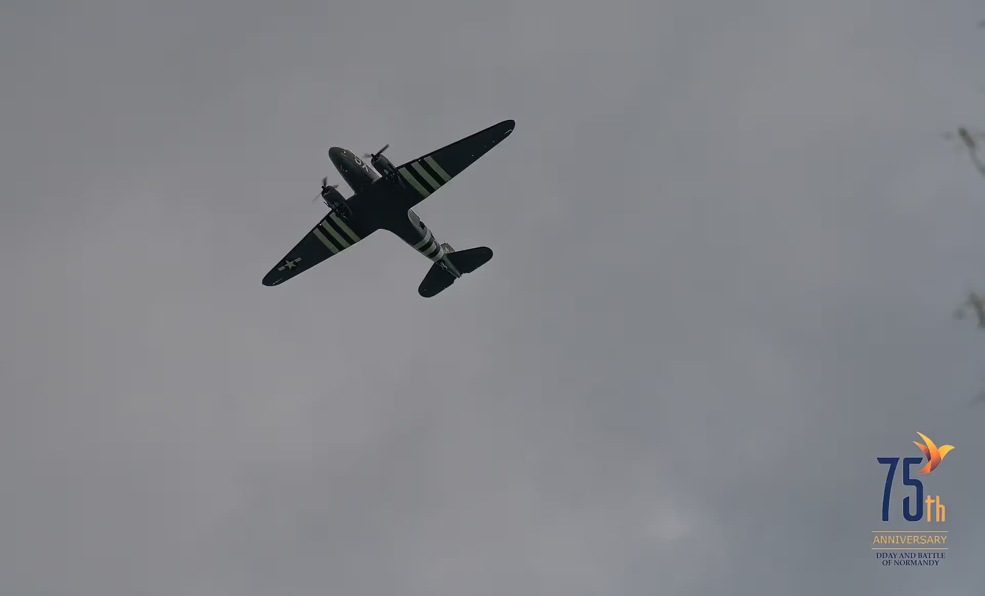 N150D — Douglas