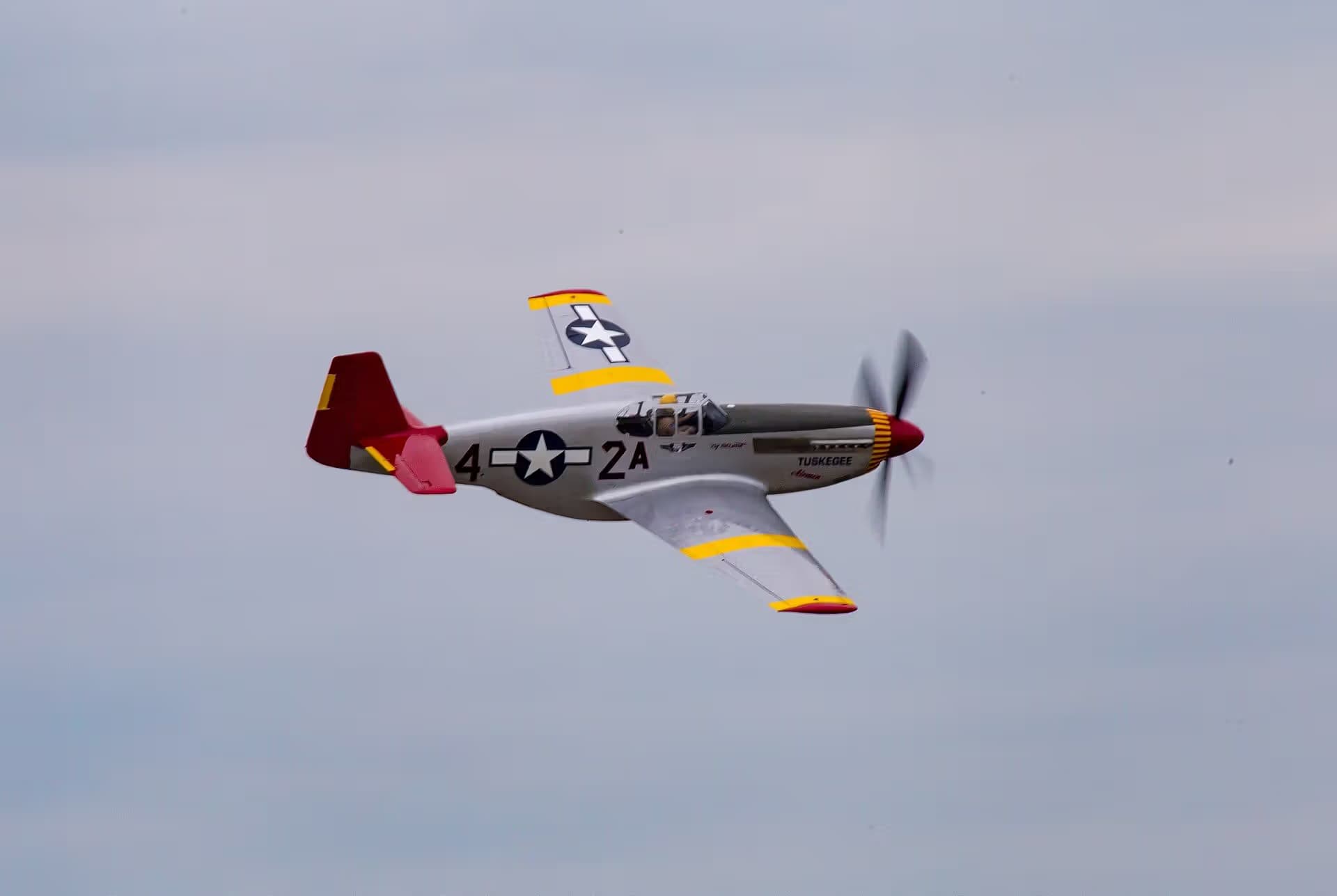 Unidentified — Warbird