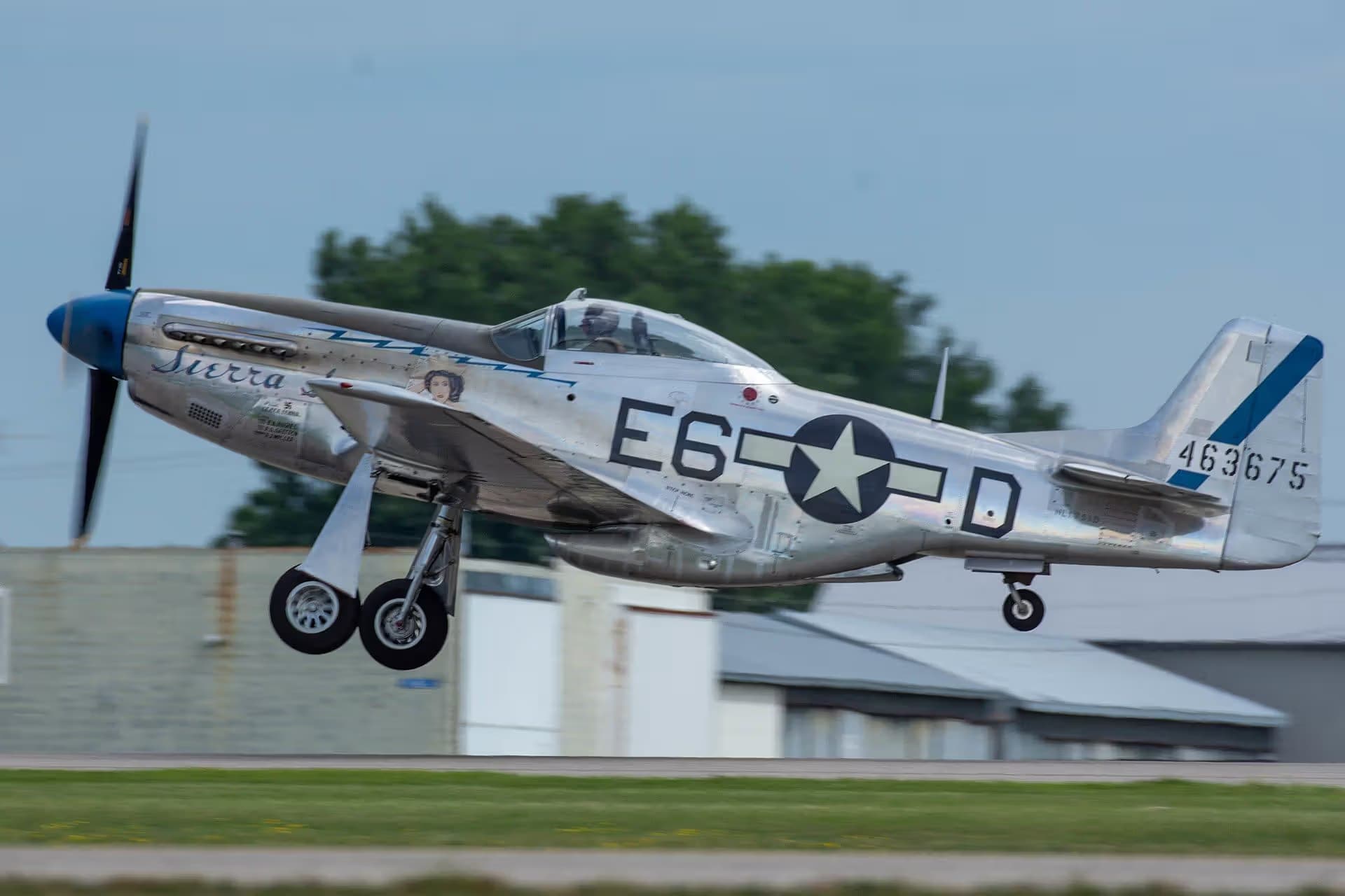 N1751D — Warbird