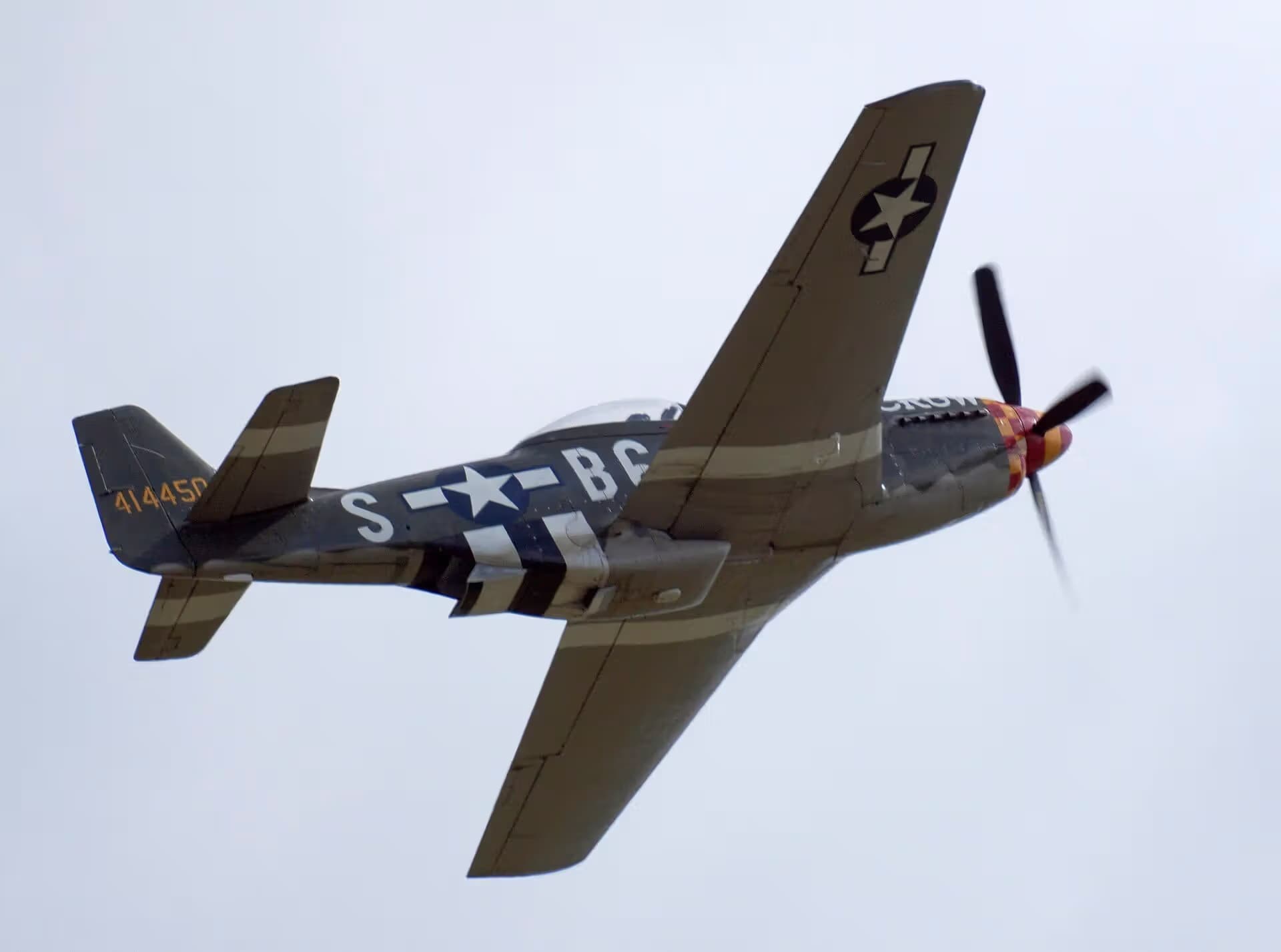 Unidentified — Warbird