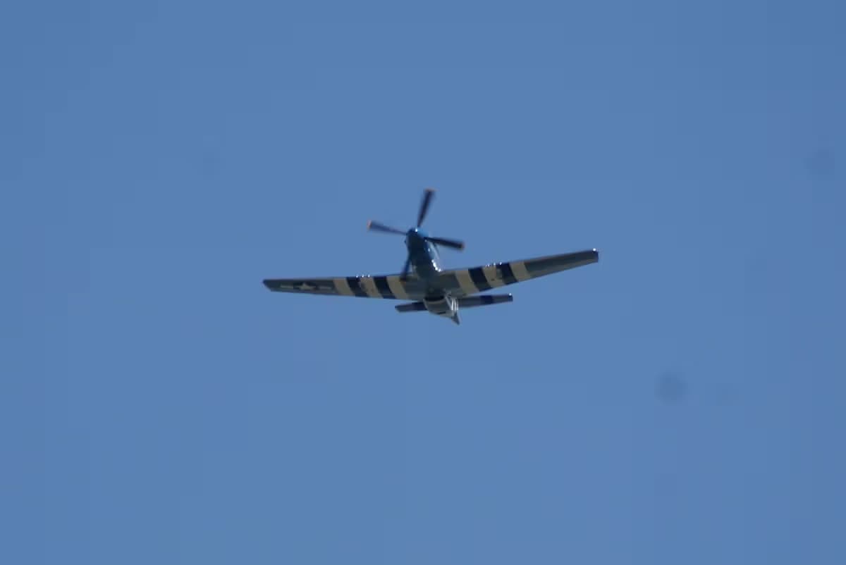 Unidentified — Warbird