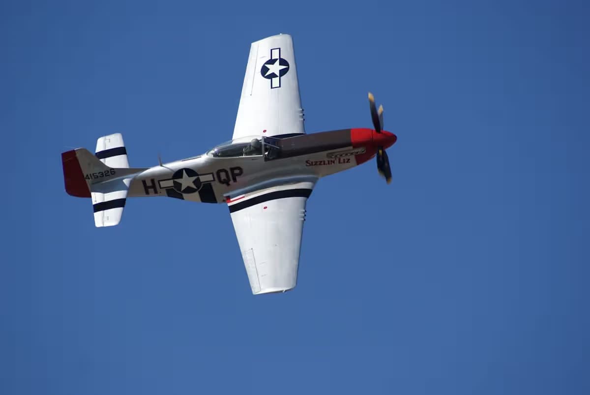 Unidentified — Warbird