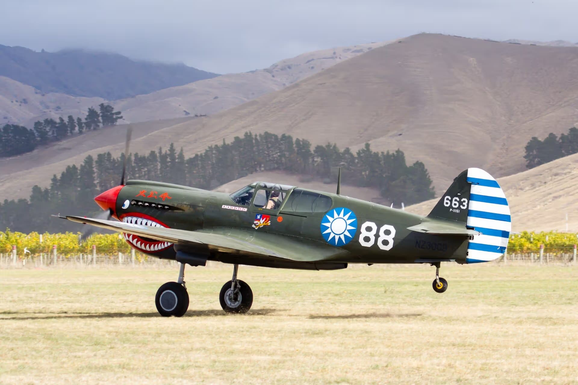 Unidentified — Warbird
