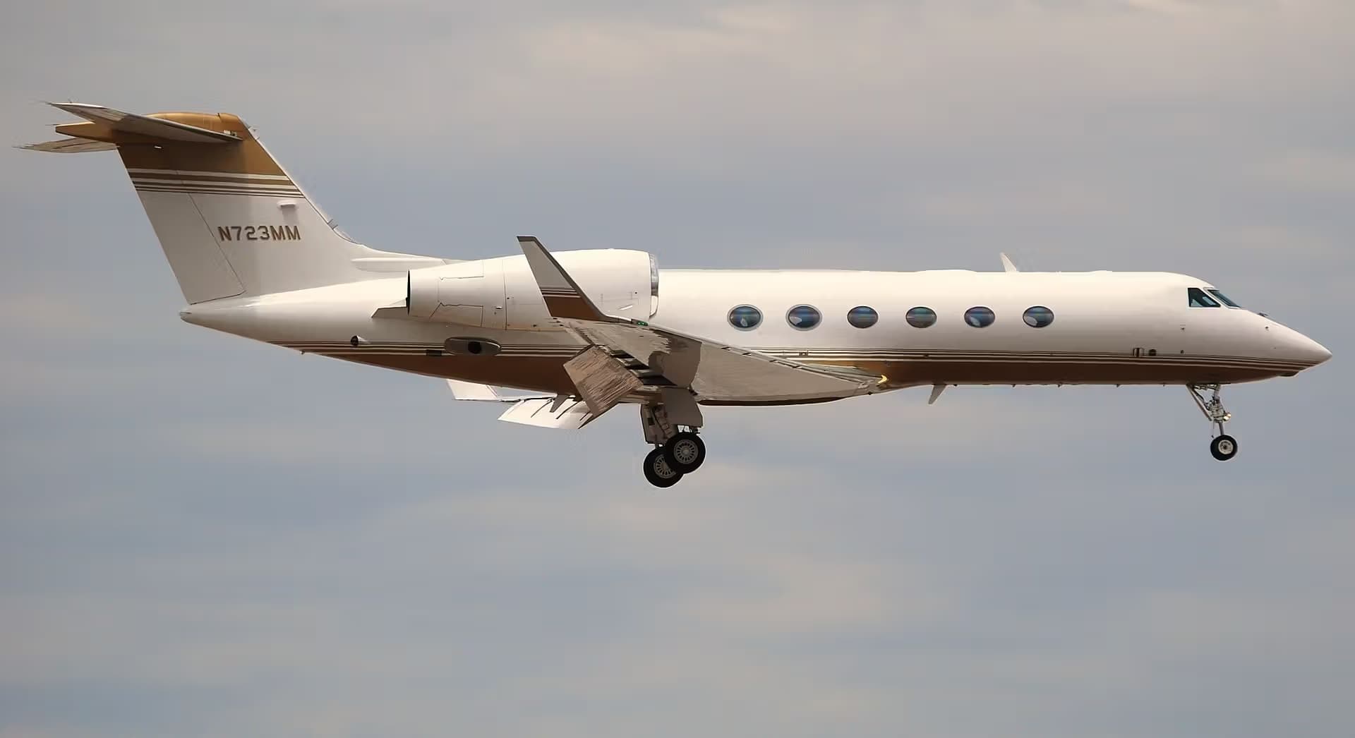 N723MM — Business jet
