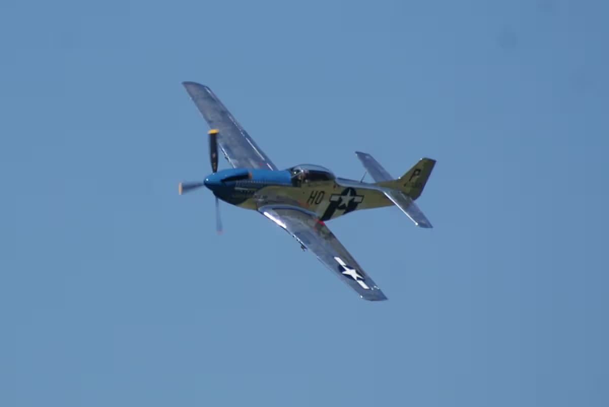 Unidentified — Warbird