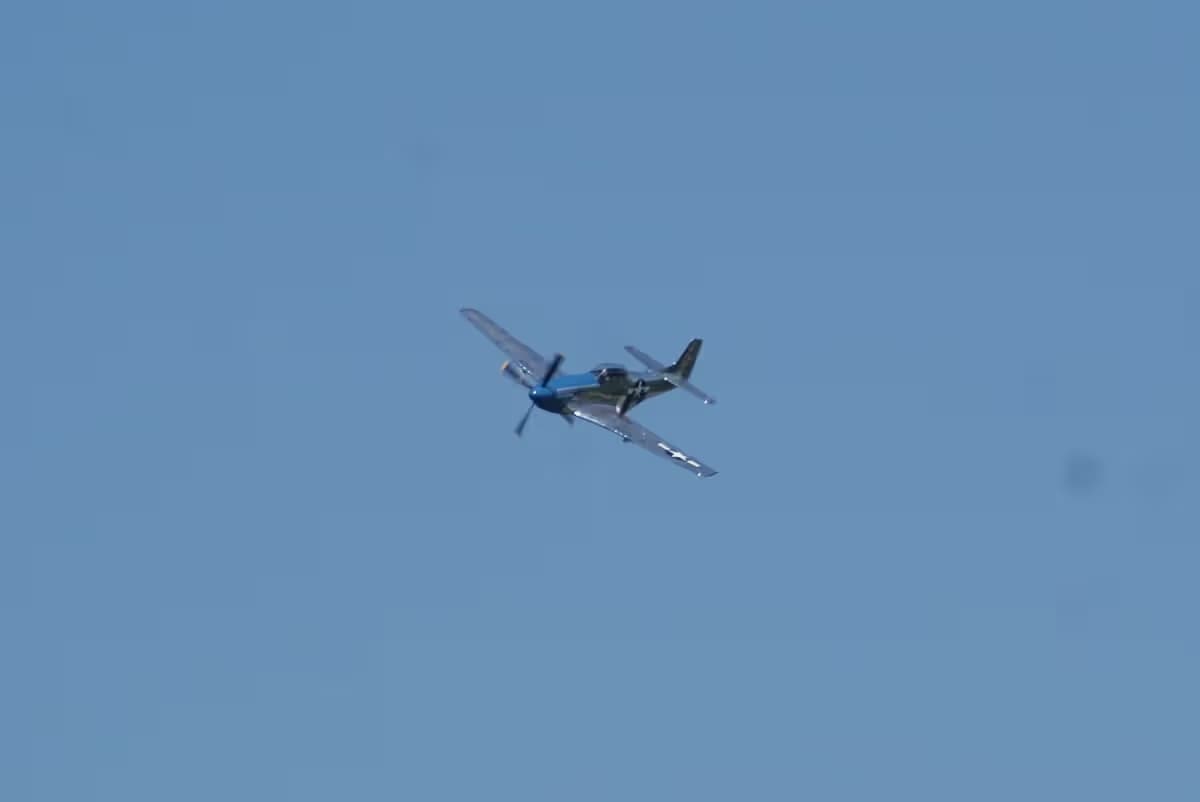 Unidentified — Warbird