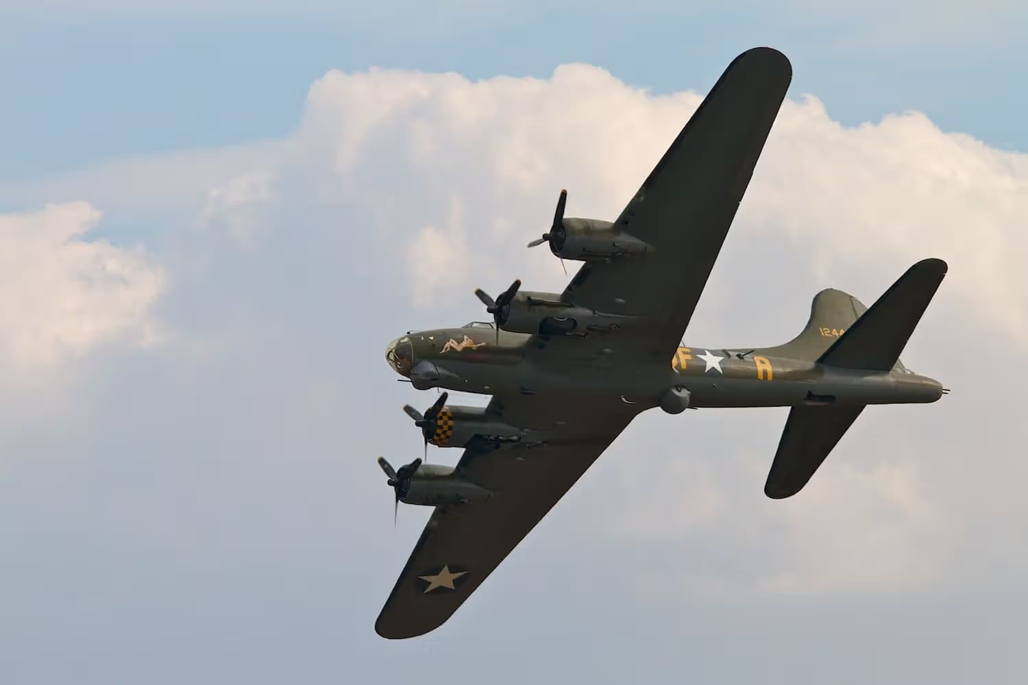 Unidentified — Warbird