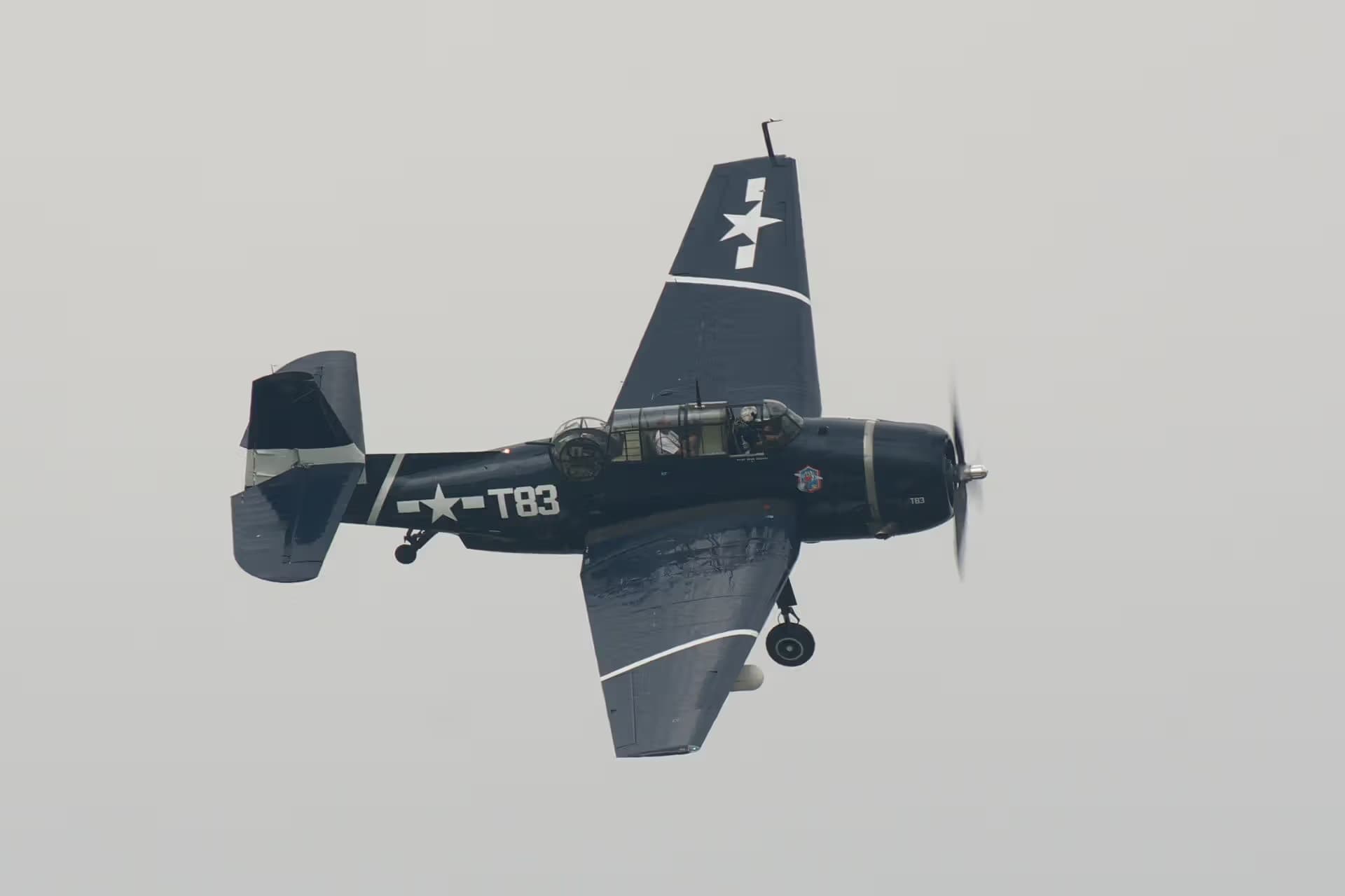 N81865 — Single-engine aircraft