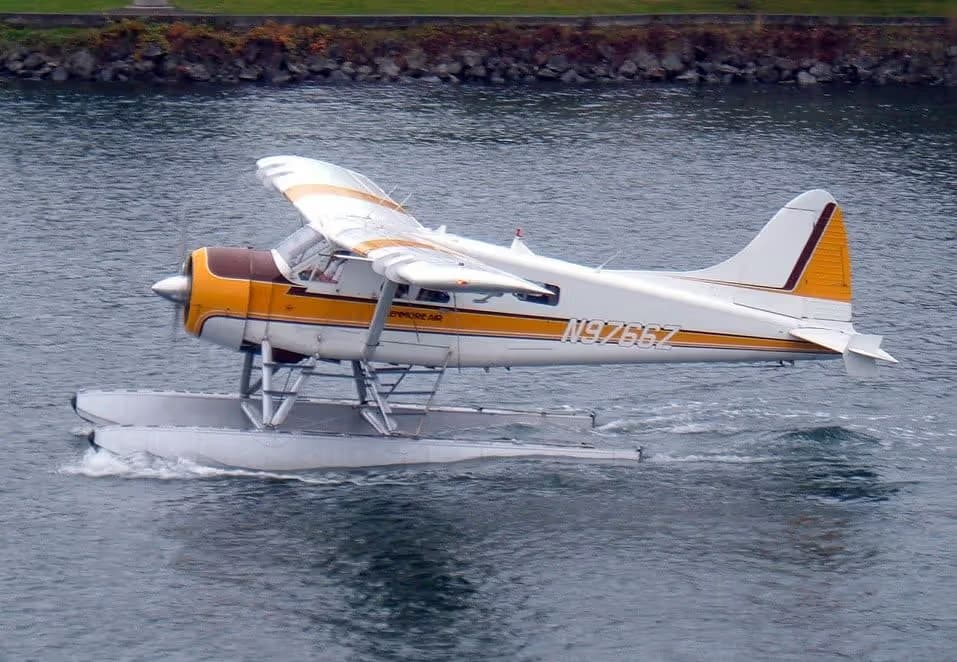N9766Z — De Havilland
