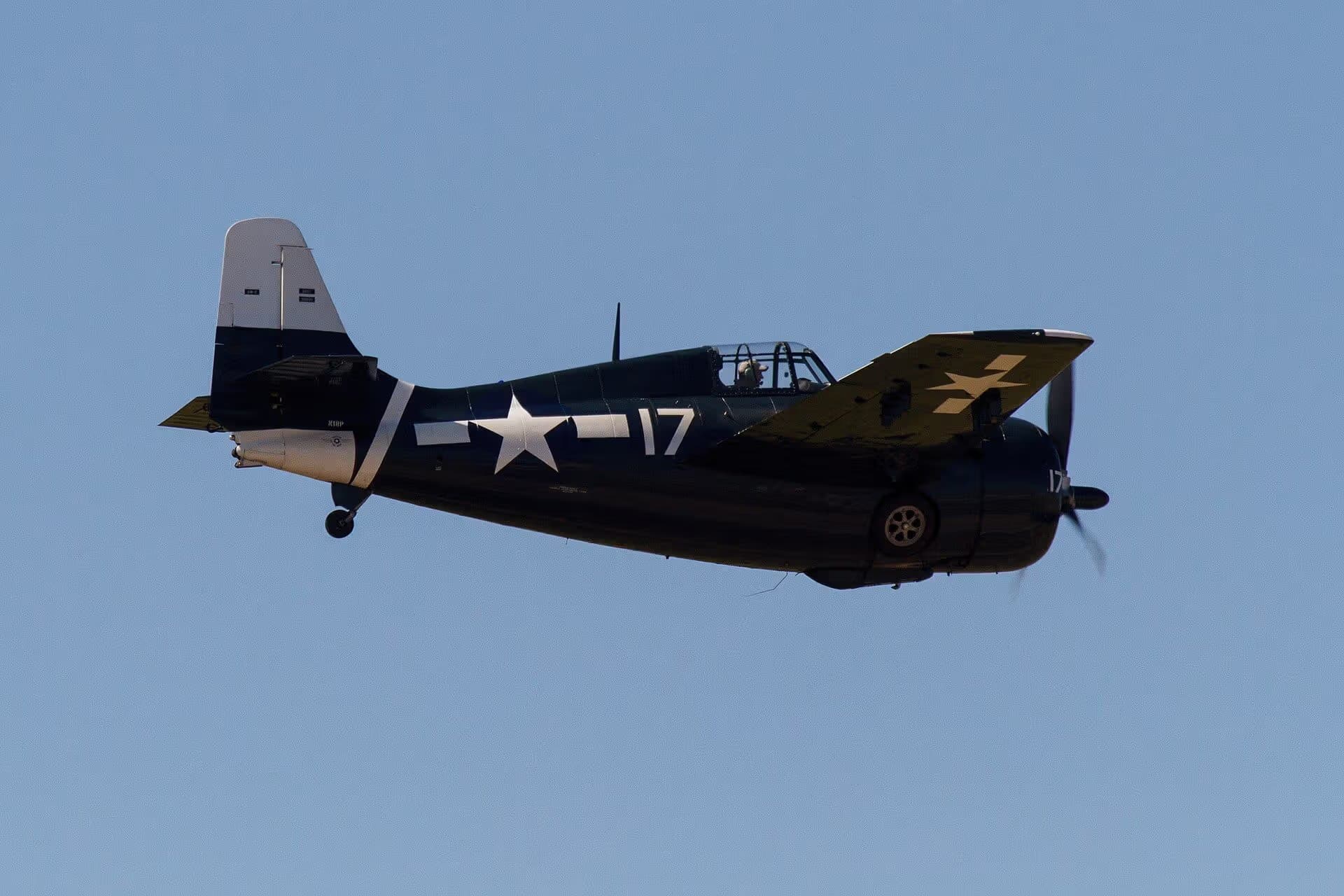Unidentified — Warbird