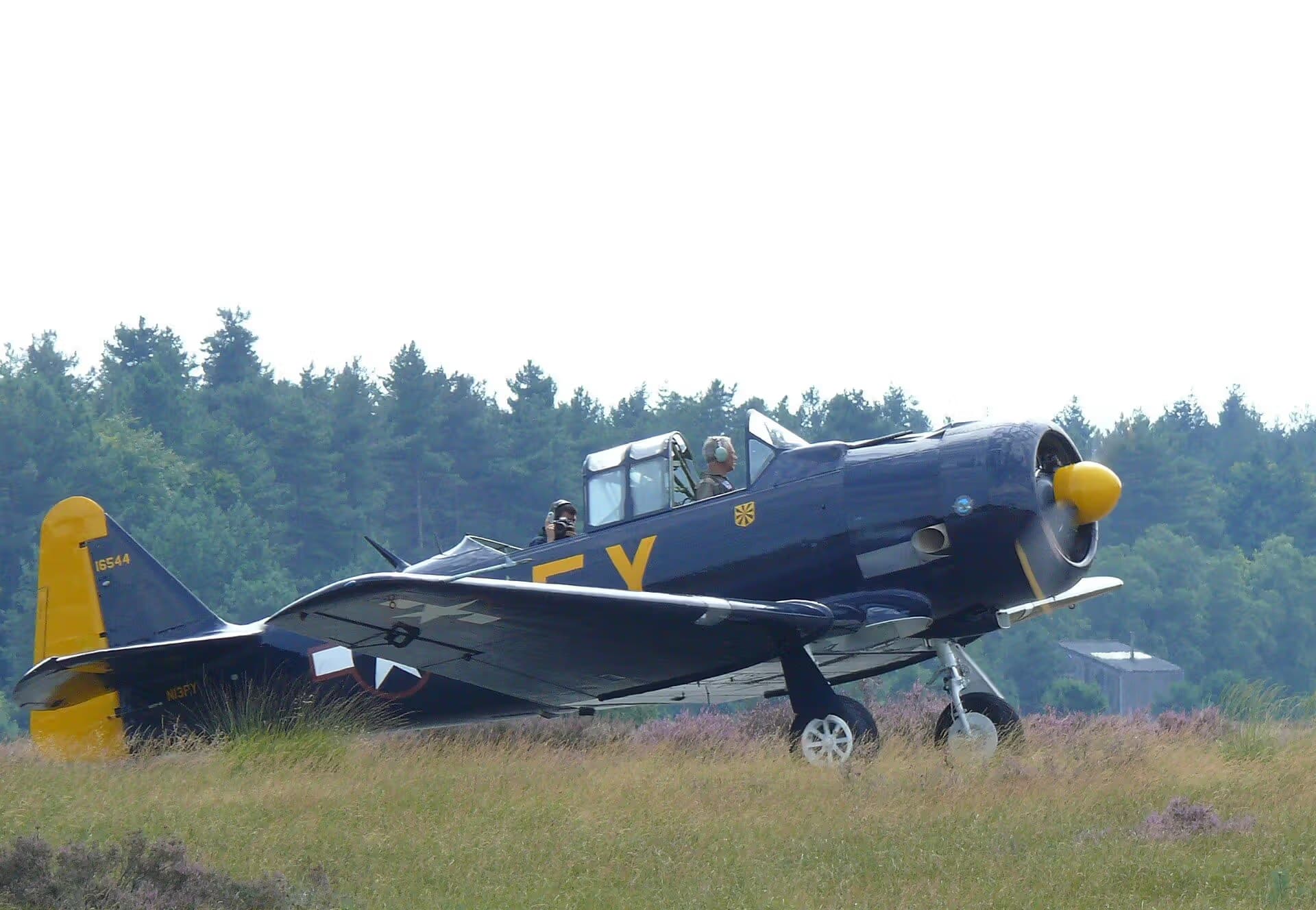 N13FY — Warbird