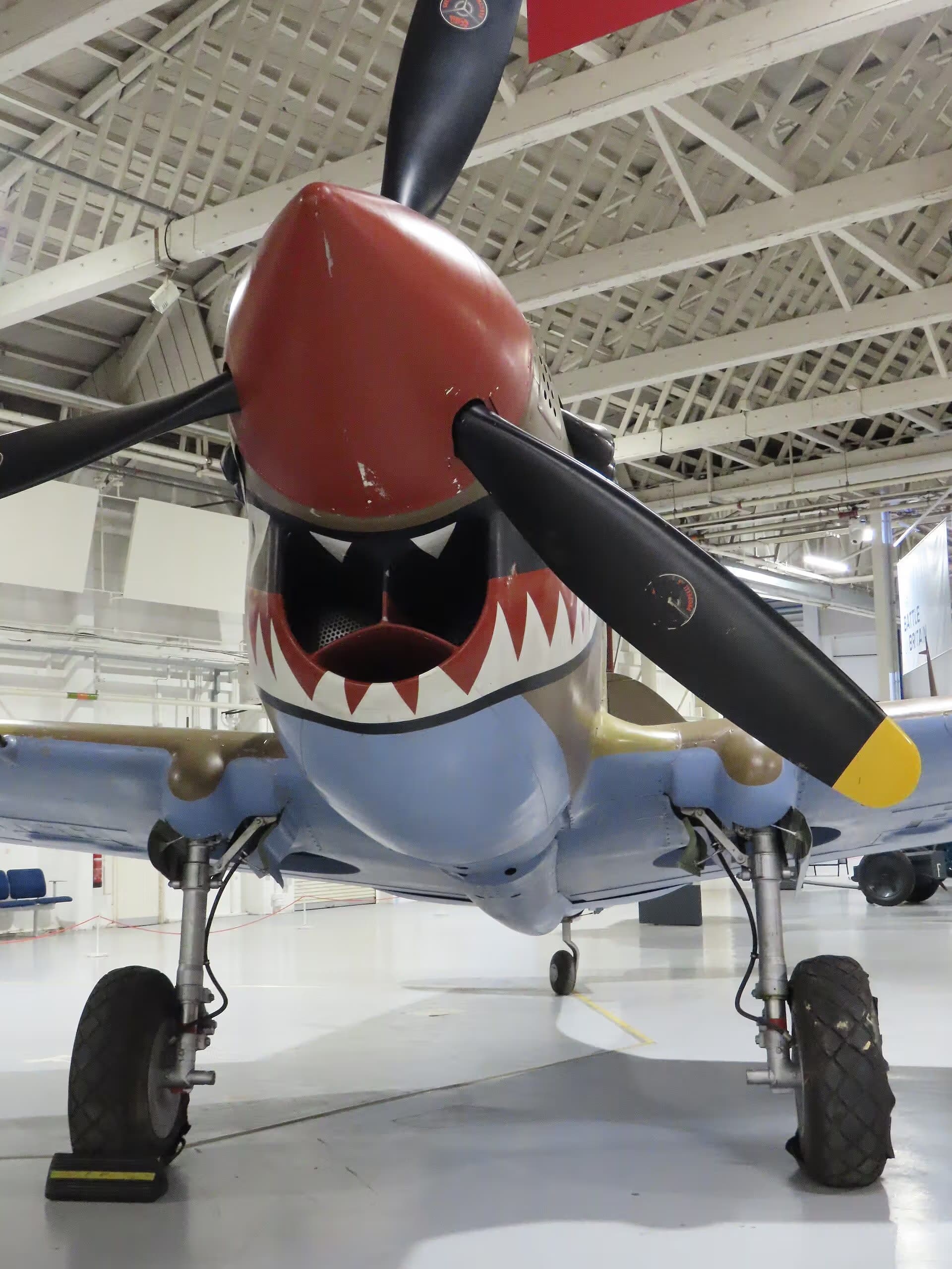 Unidentified — Warbird
