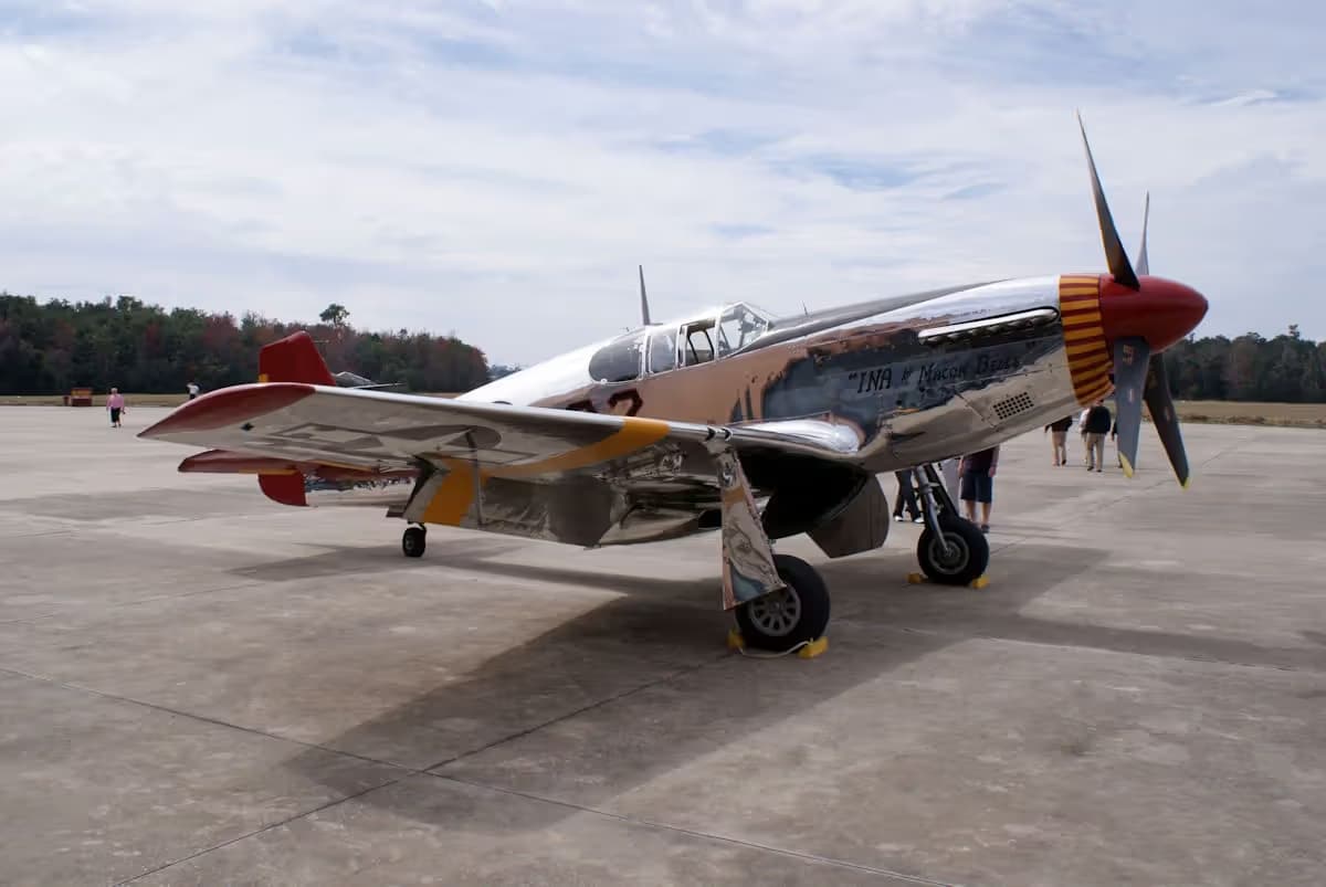 Unidentified — Warbird