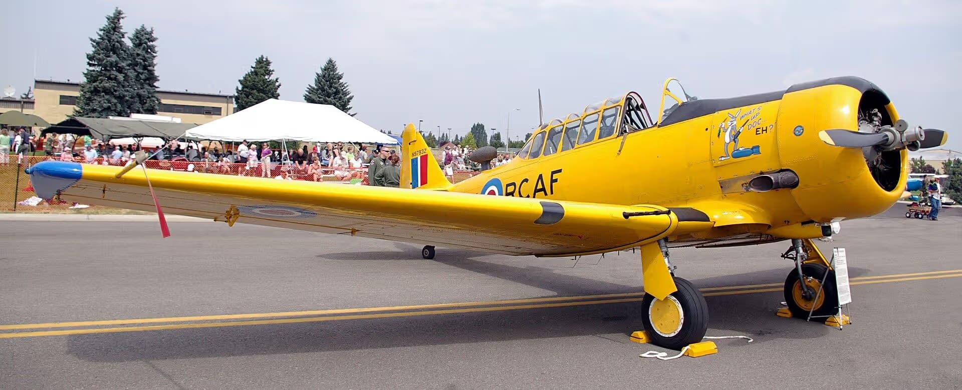 N9793Z — Warbird