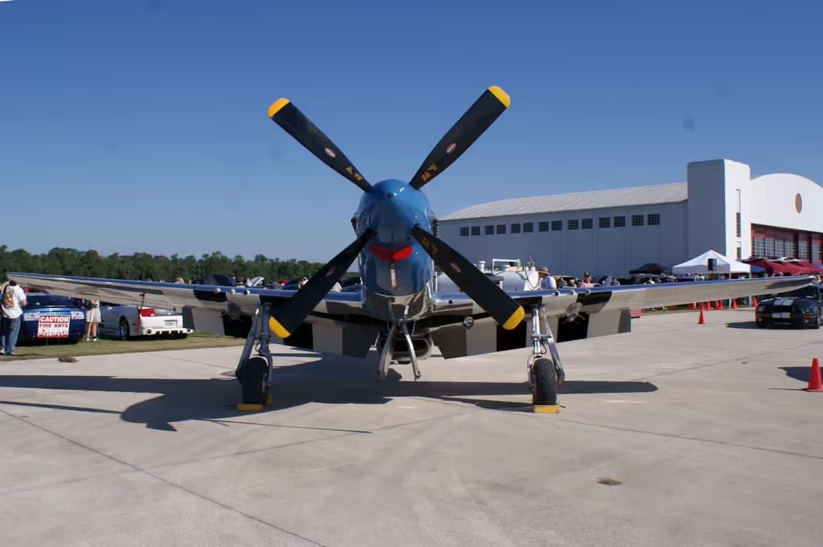 Unidentified — Warbird