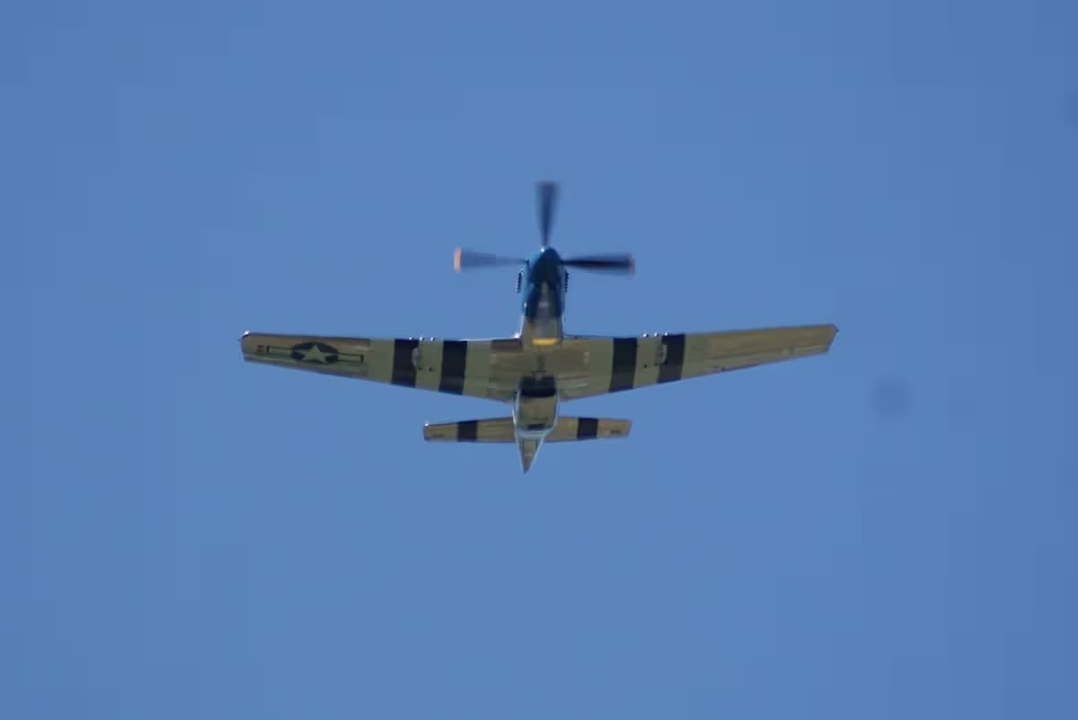 Unidentified — Warbird