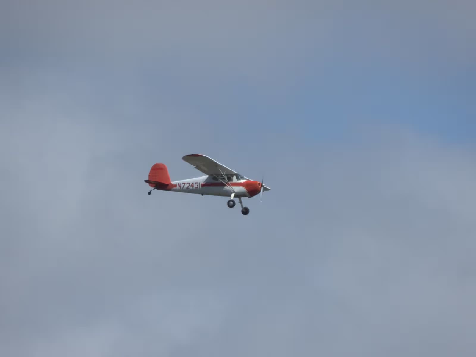 N72431 — Single-engine aircraft