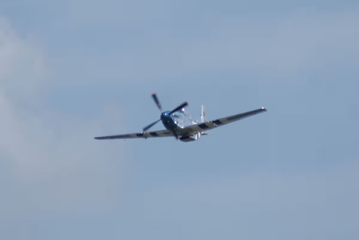 Unidentified — Warbird