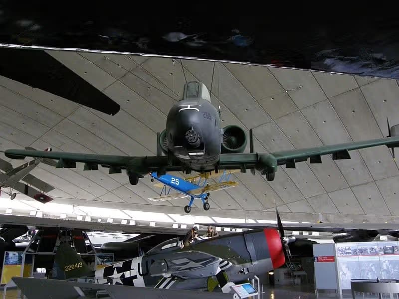 Unidentified — Warbird